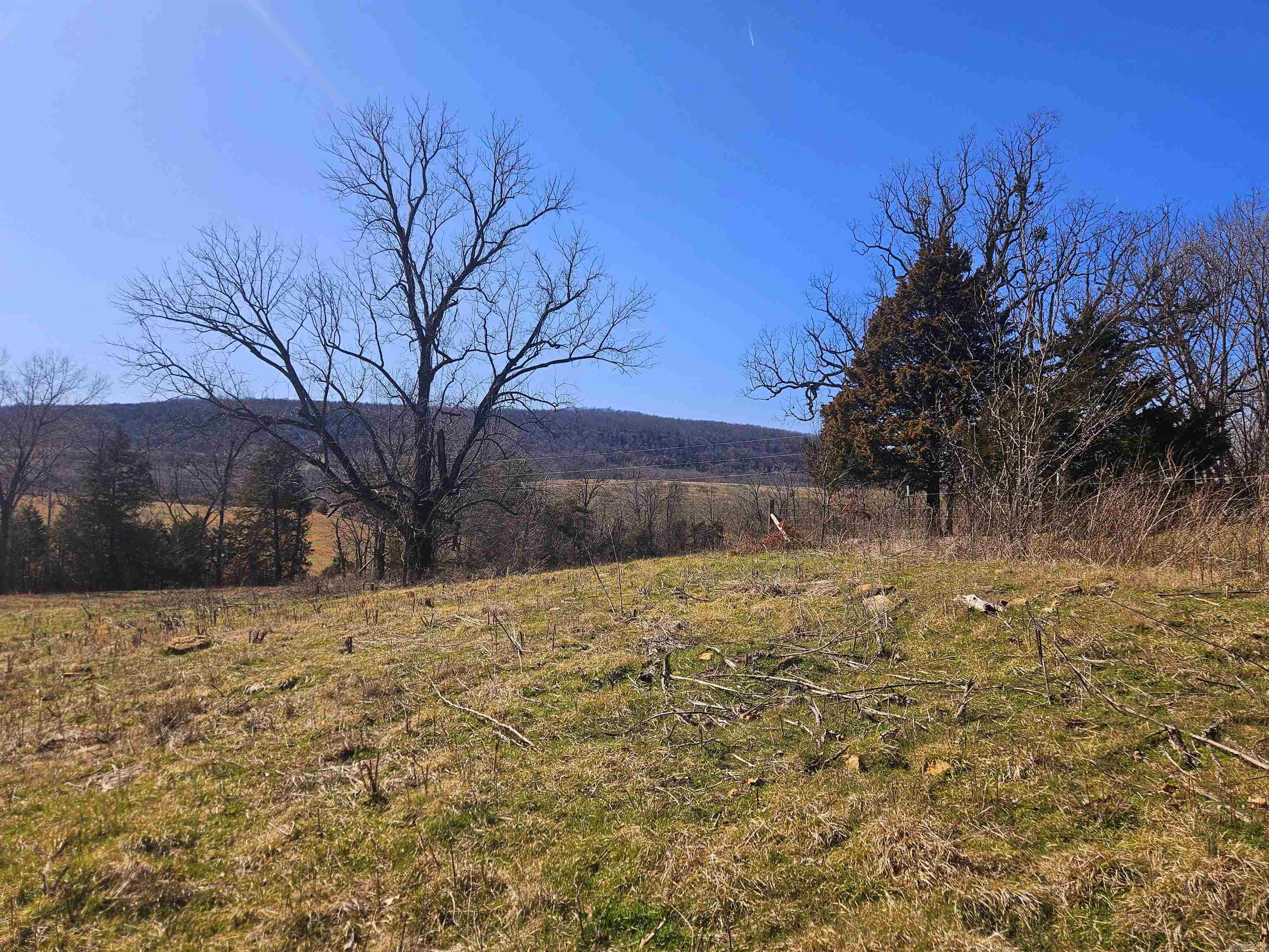 1826 Marsena Road Marshall, AR 72650