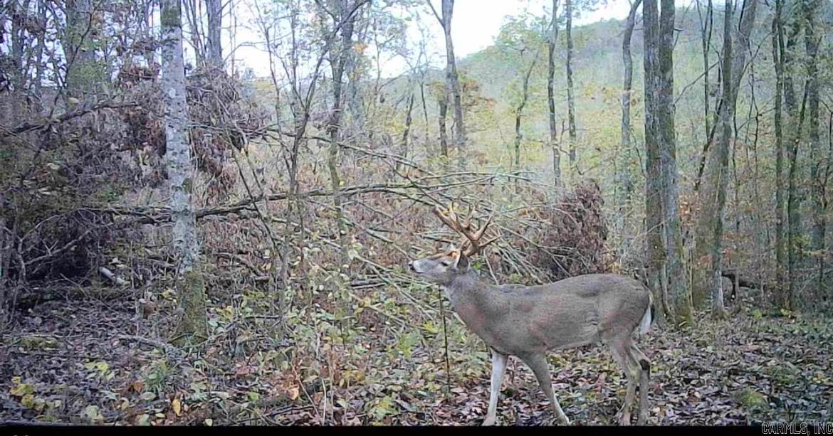 0  Swaim Hill  Batesville, AR
