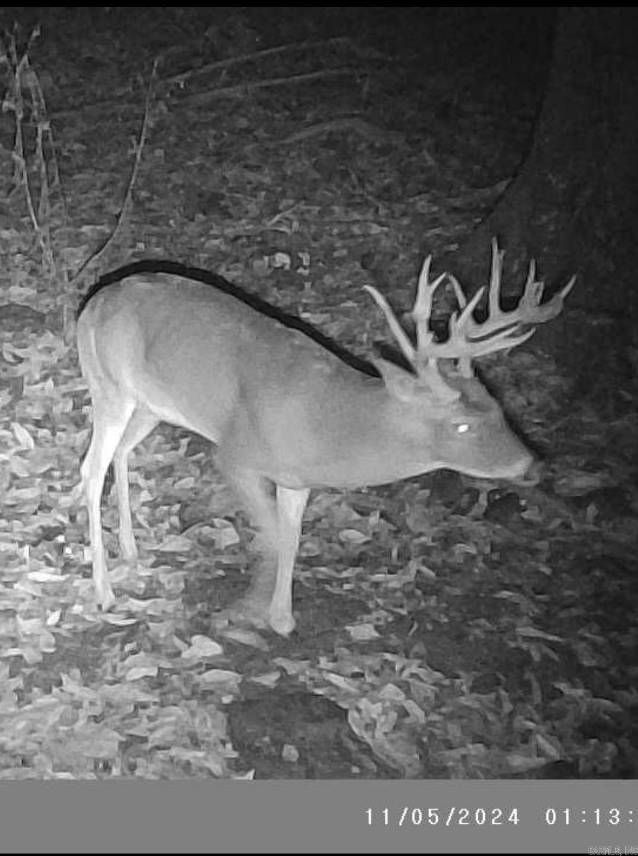 0  Swaim Hill  Batesville, AR