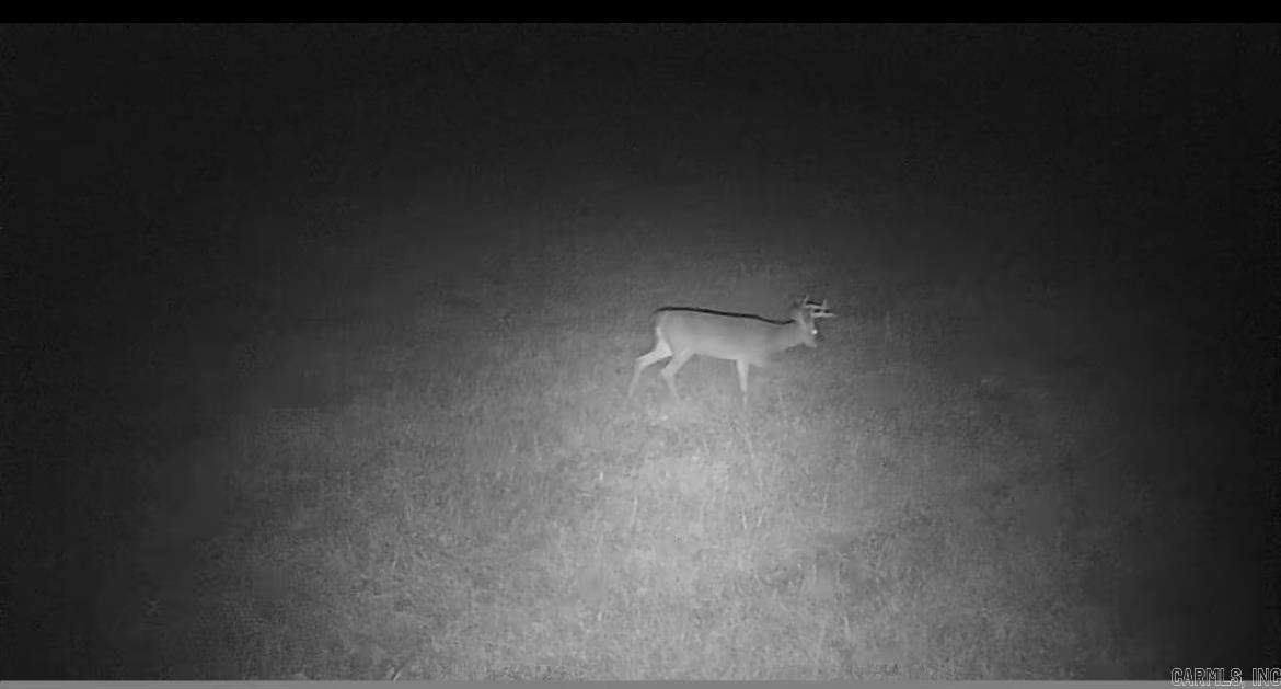 0  Swaim Hill  Batesville, AR
