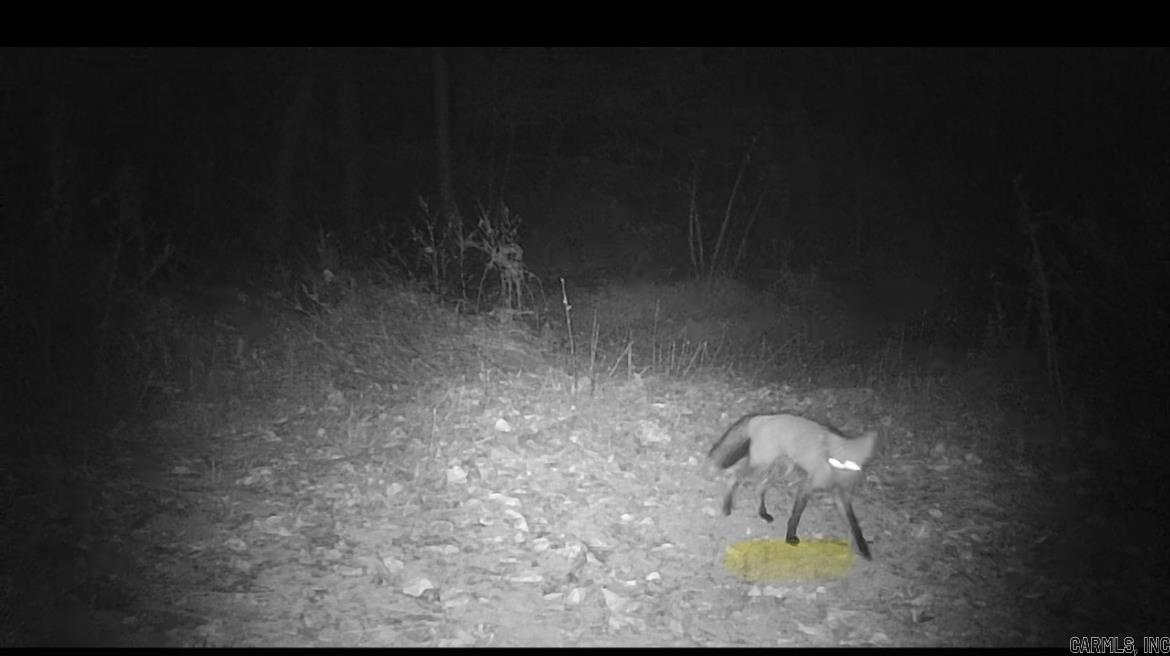 0  Swaim Hill  Batesville, AR