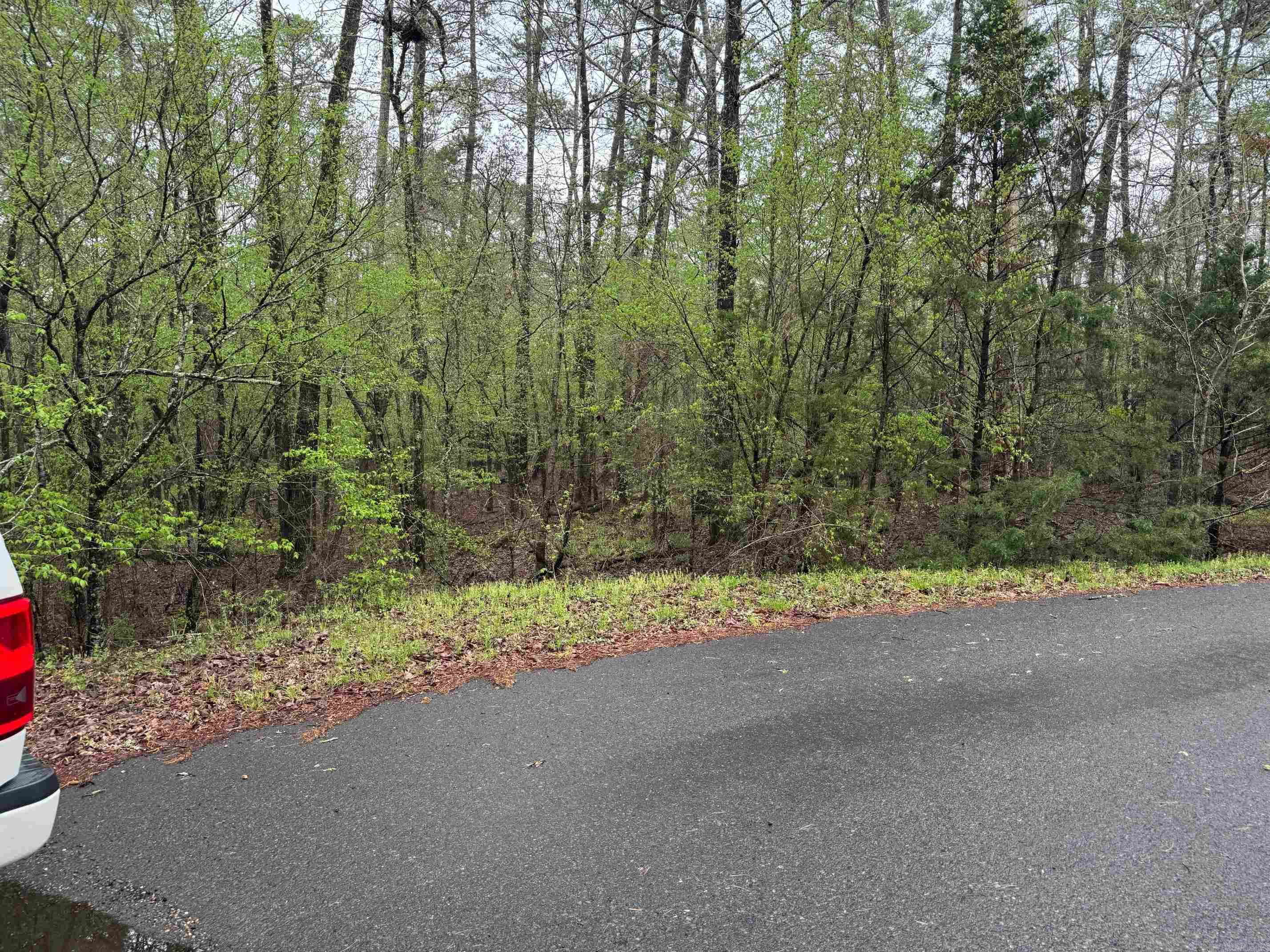 10  FASTOTA PLACE  Hot Springs Village, AR