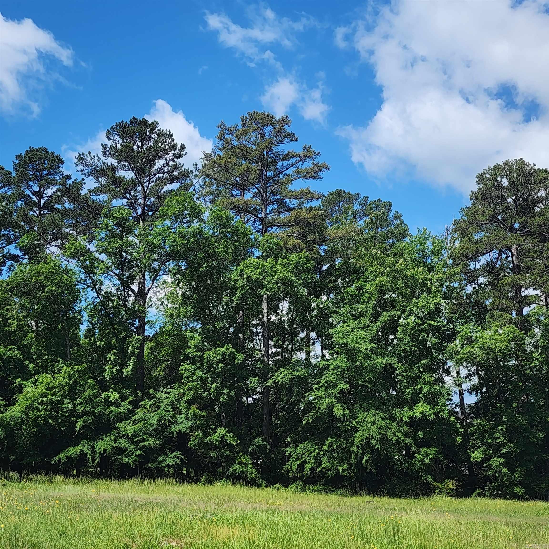 Lot 15  Wisdom Pointe  Heber Springs, AR