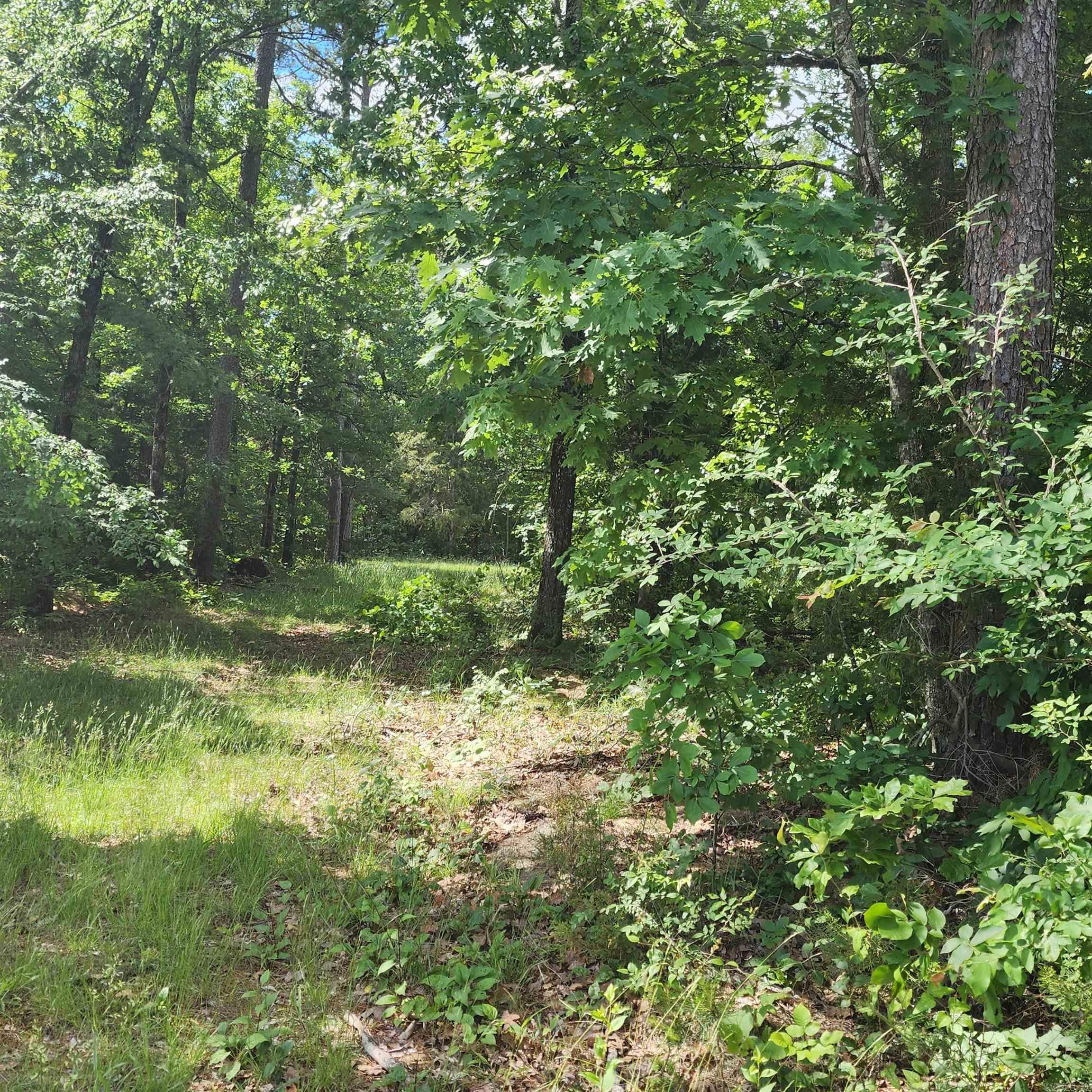 Lot 15  Wisdom Pointe  Heber Springs, AR