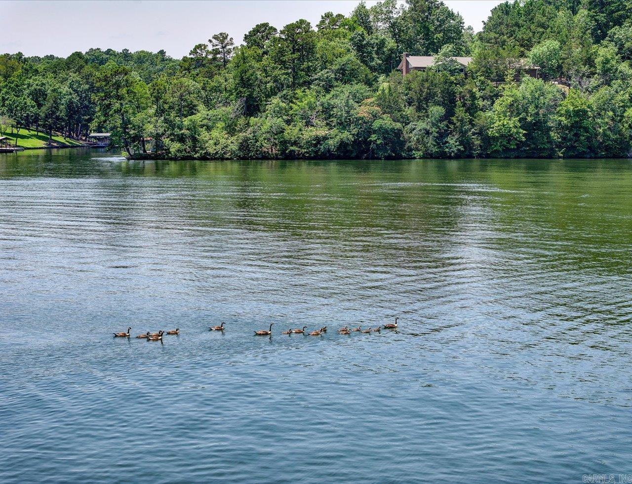 136 Riverside Drive Hot Springs, AR 71913