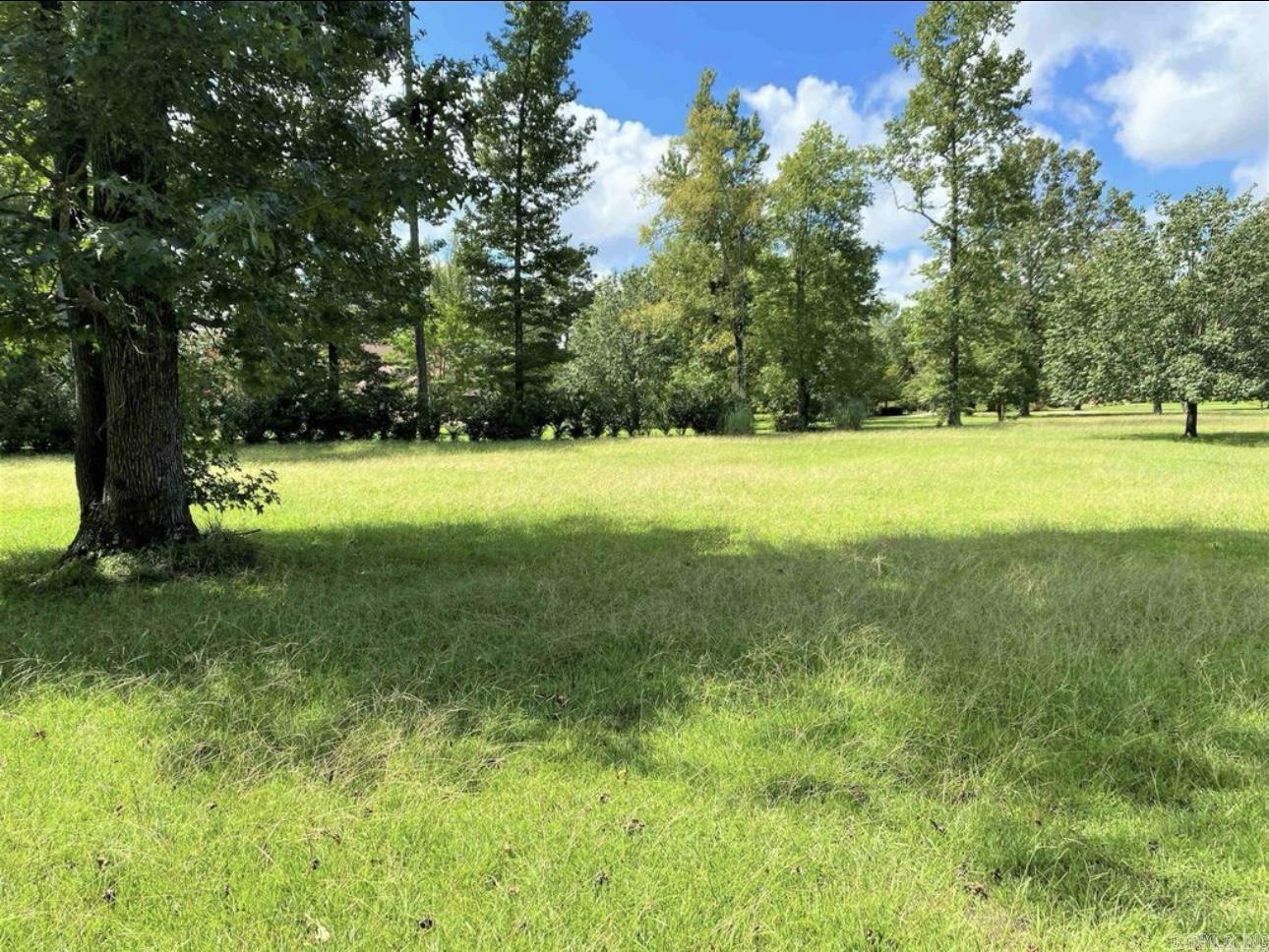 240  Timberlane  Magnolia, AR