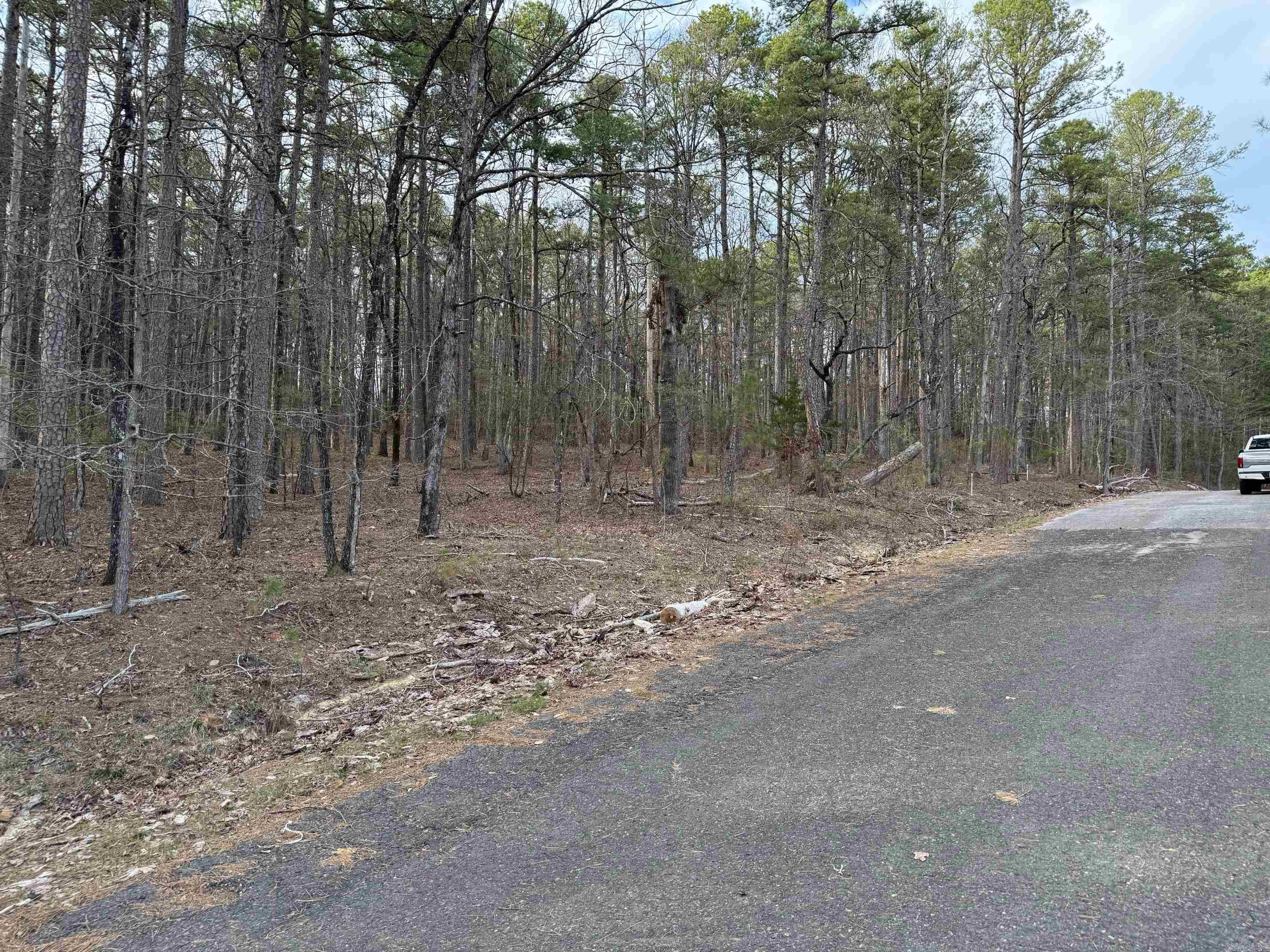 22  ALVERO WAY  Hot Springs Village, AR