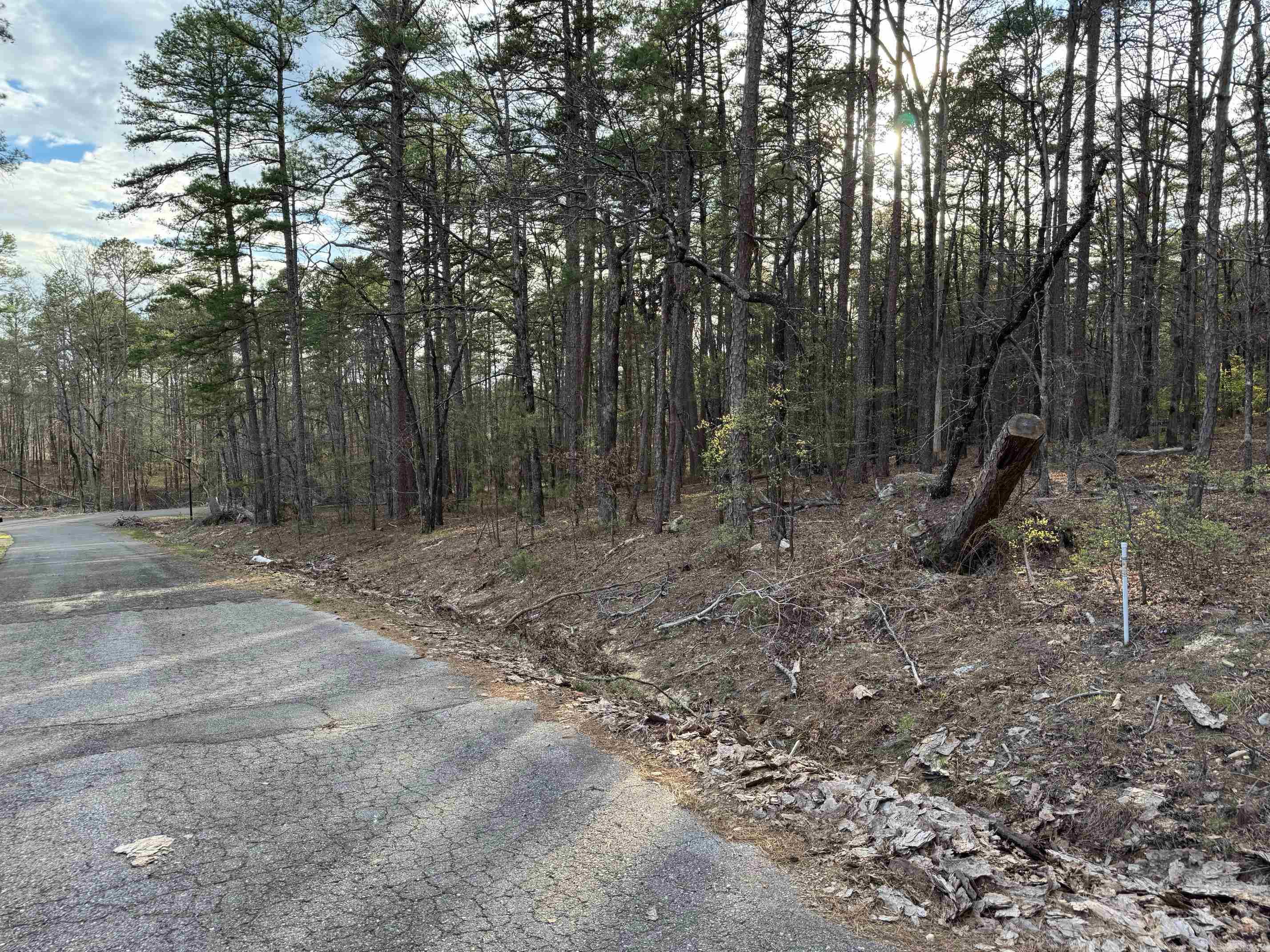 22  ALVERO WAY  Hot Springs Village, AR
