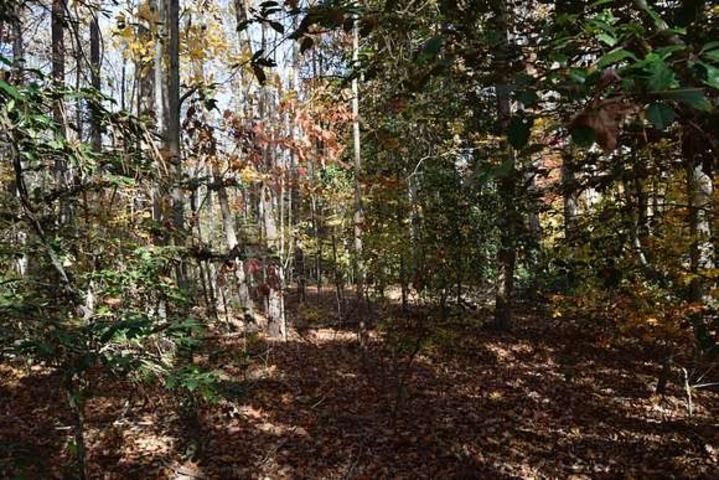187  Peacepipe Path  Fairfield Bay, AR
