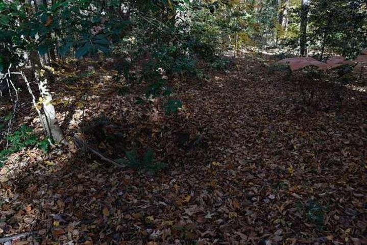187  Peacepipe Path  Fairfield Bay, AR