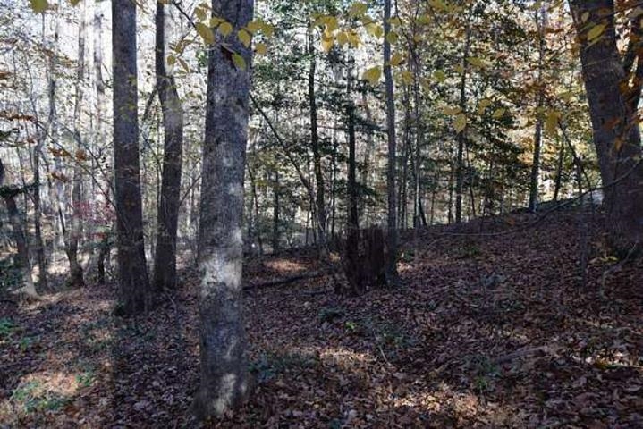 187  Peacepipe Path  Fairfield Bay, AR