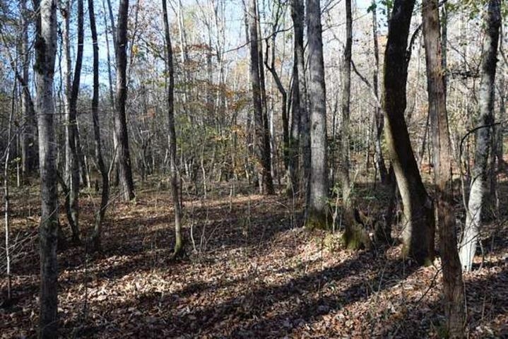 187  Peacepipe Path  Fairfield Bay, AR