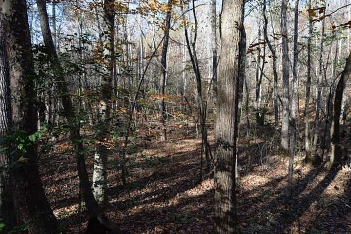 187  Peacepipe Path  Fairfield Bay, AR