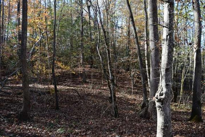 187  Peacepipe Path  Fairfield Bay, AR