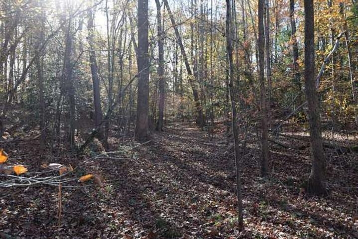 187  Peacepipe Path  Fairfield Bay, AR