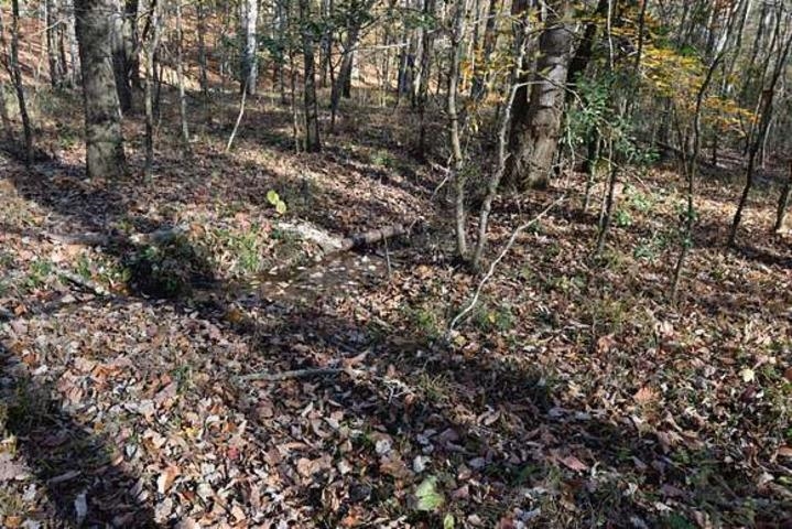 187  Peacepipe Path  Fairfield Bay, AR