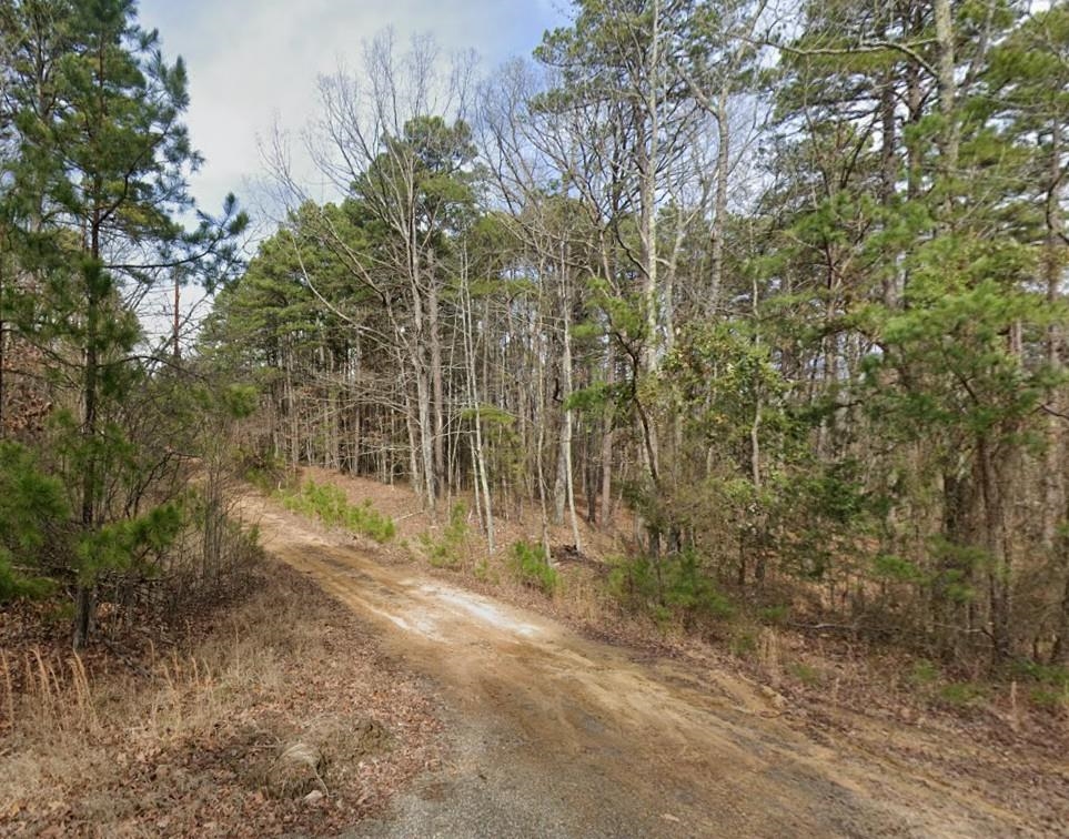 187  Peacepipe Path  Fairfield Bay, AR