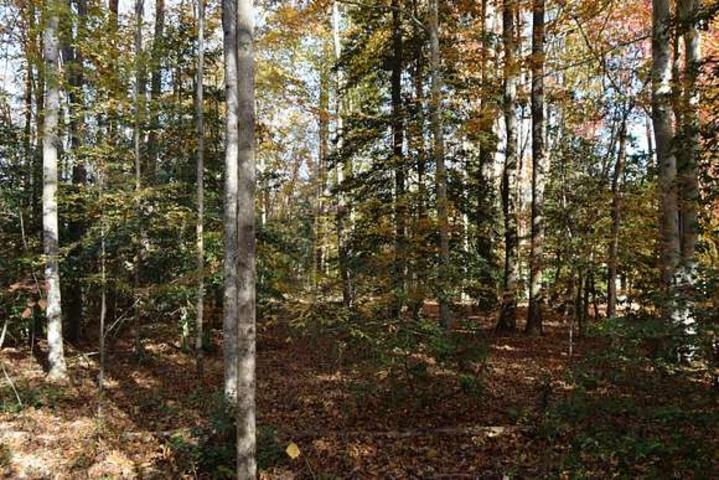 187  Peacepipe Path  Fairfield Bay, AR