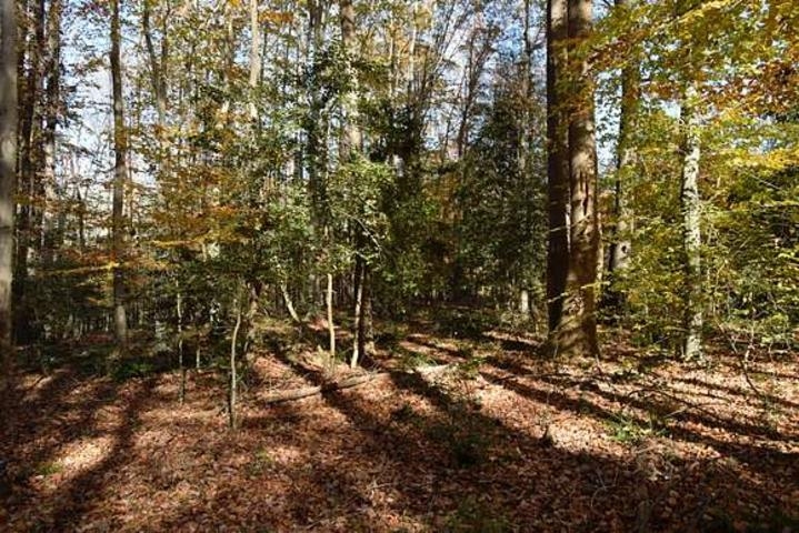 187  Peacepipe Path  Fairfield Bay, AR