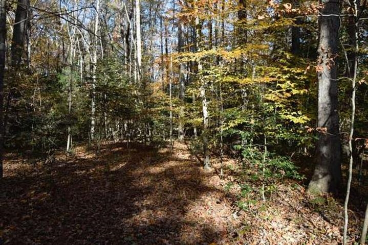 187  Peacepipe Path  Fairfield Bay, AR