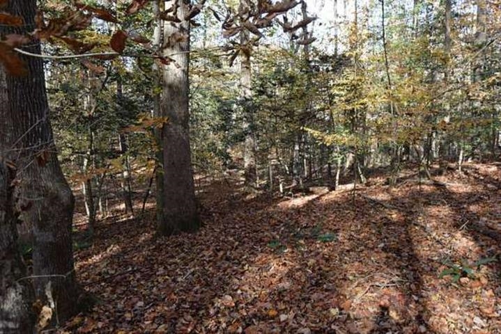187  Peacepipe Path  Fairfield Bay, AR