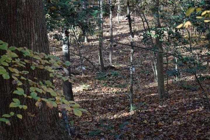 187  Peacepipe Path  Fairfield Bay, AR
