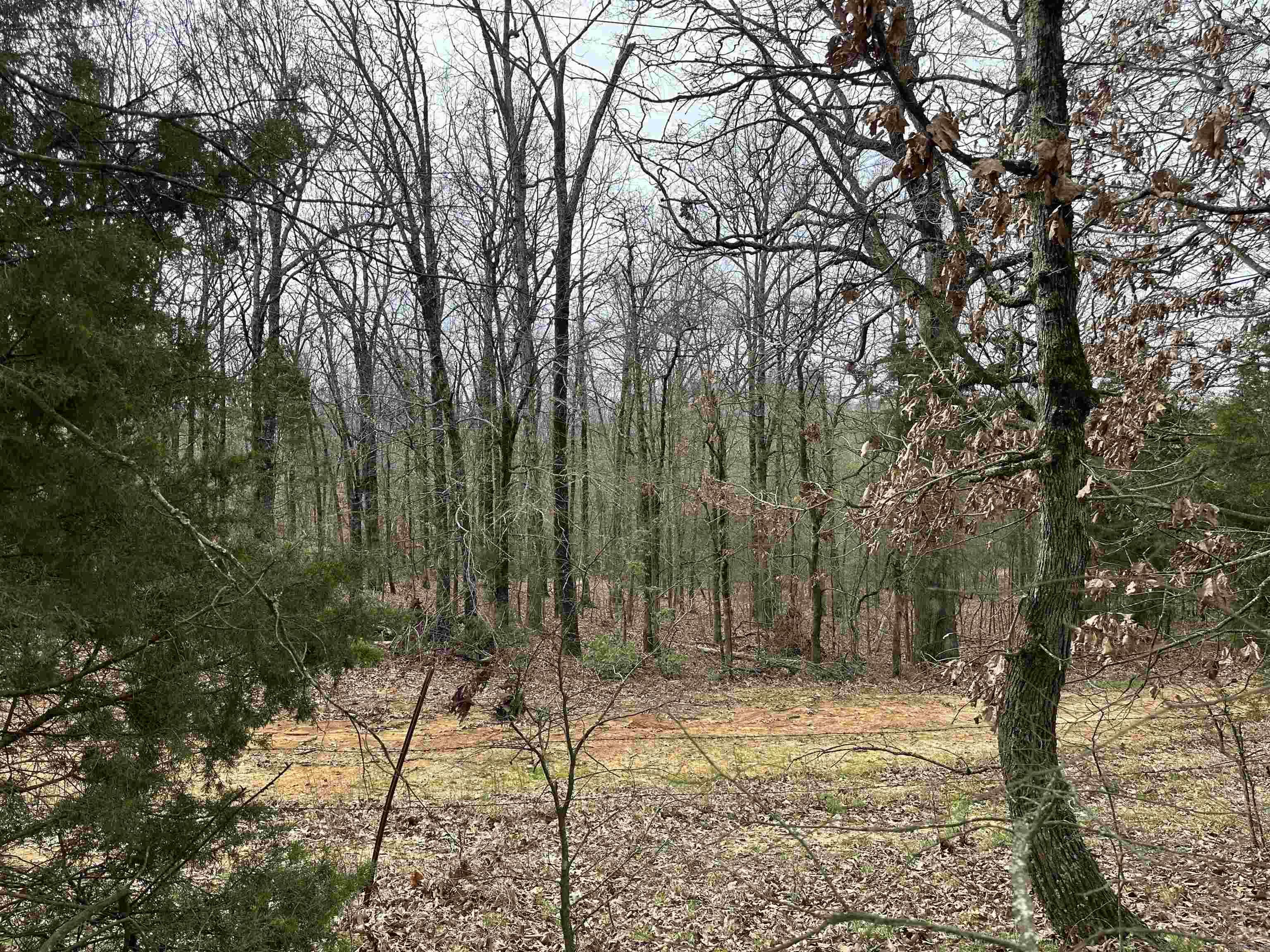 Lot 2  Raby  Harrisburg, AR