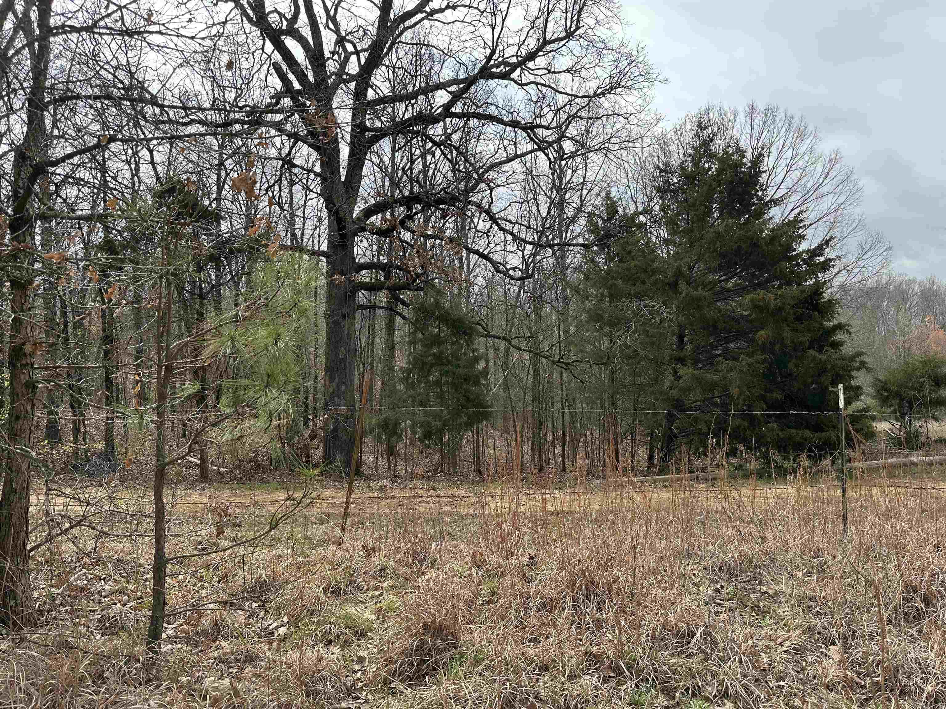 Lot 2  Raby  Harrisburg, AR