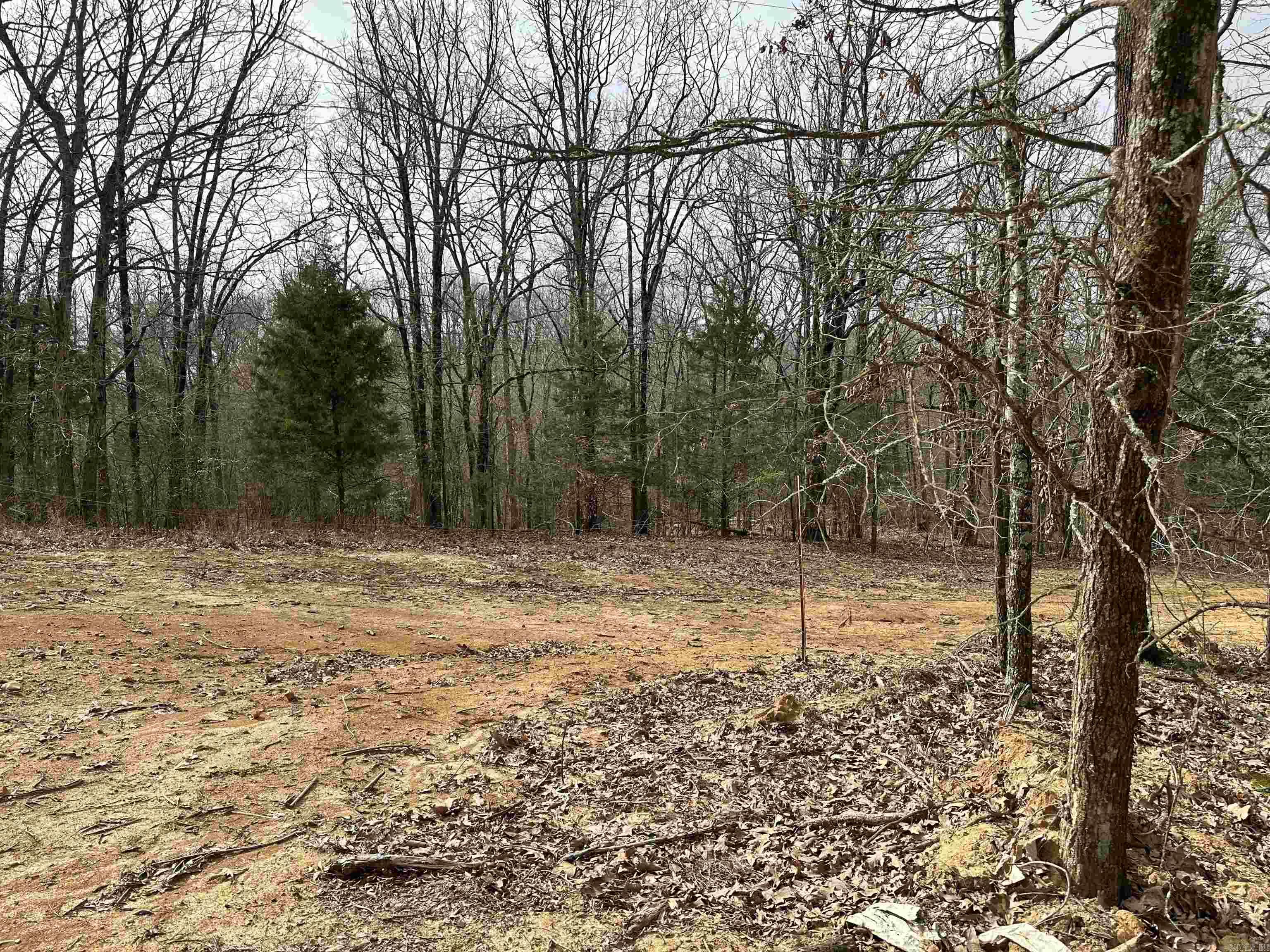 Lot 3  Raby  Harrisburg, AR