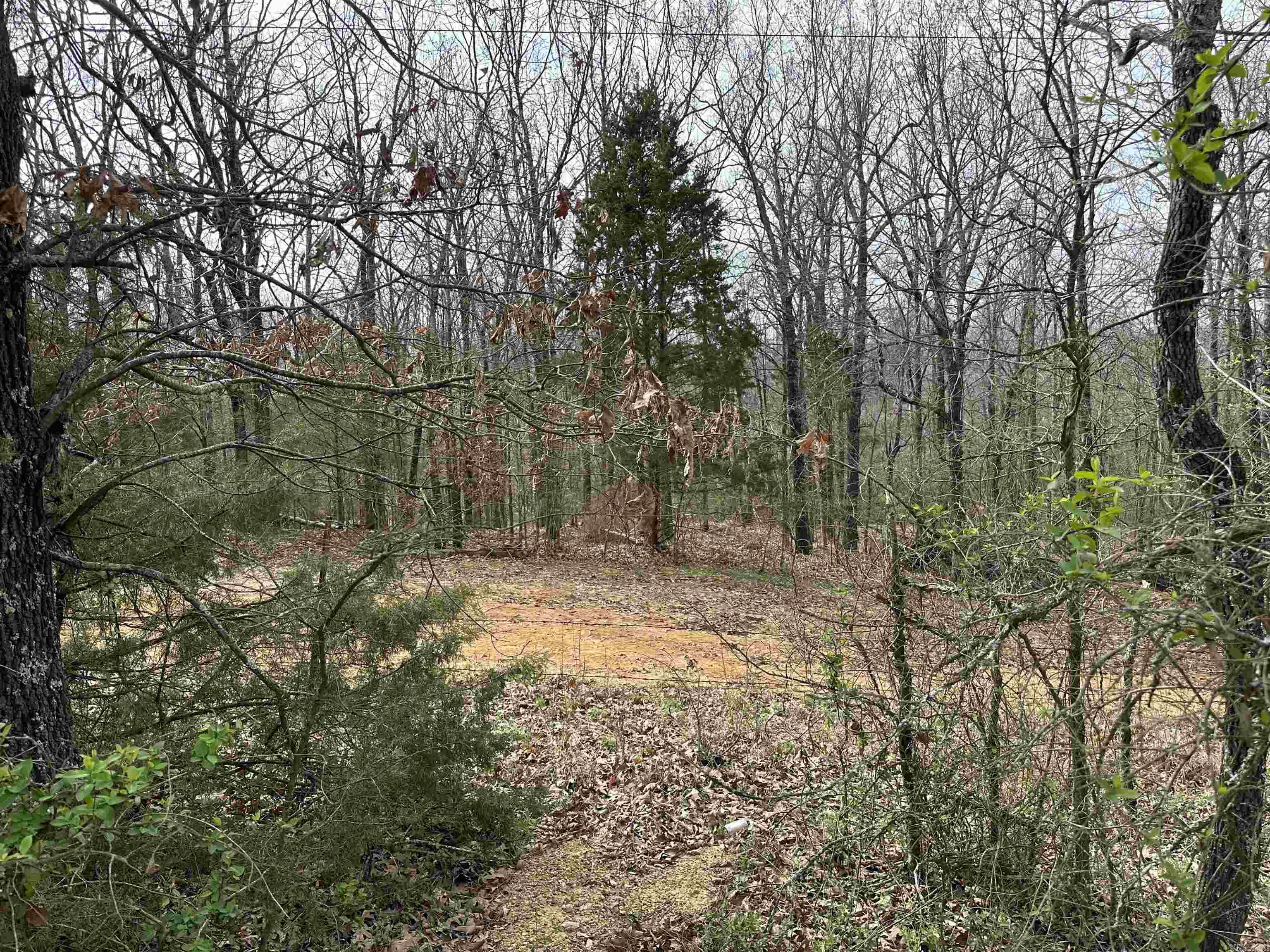 Lot 3  Raby  Harrisburg, AR