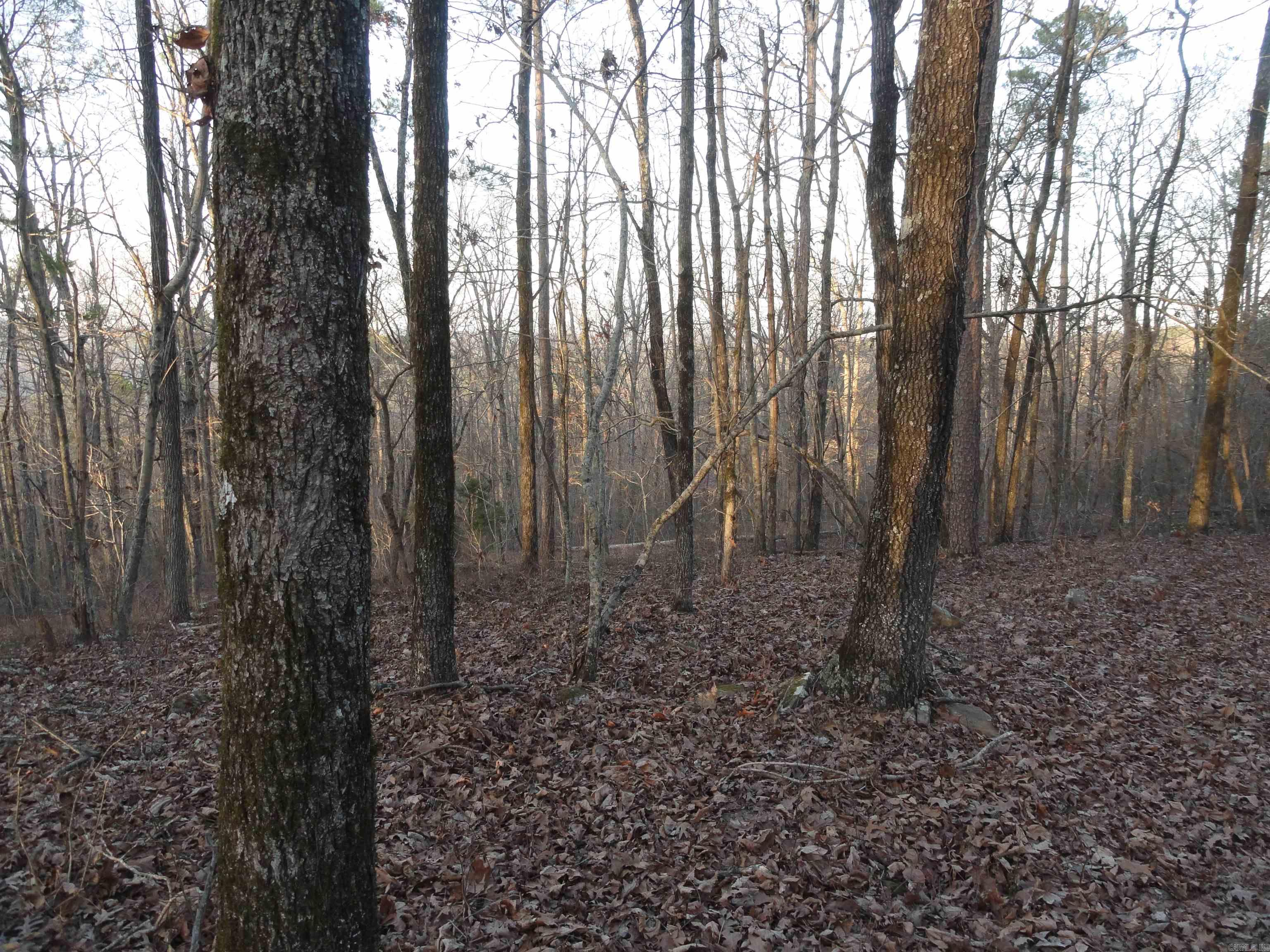 2760 Hwy 16 West Clinton, AR 72031