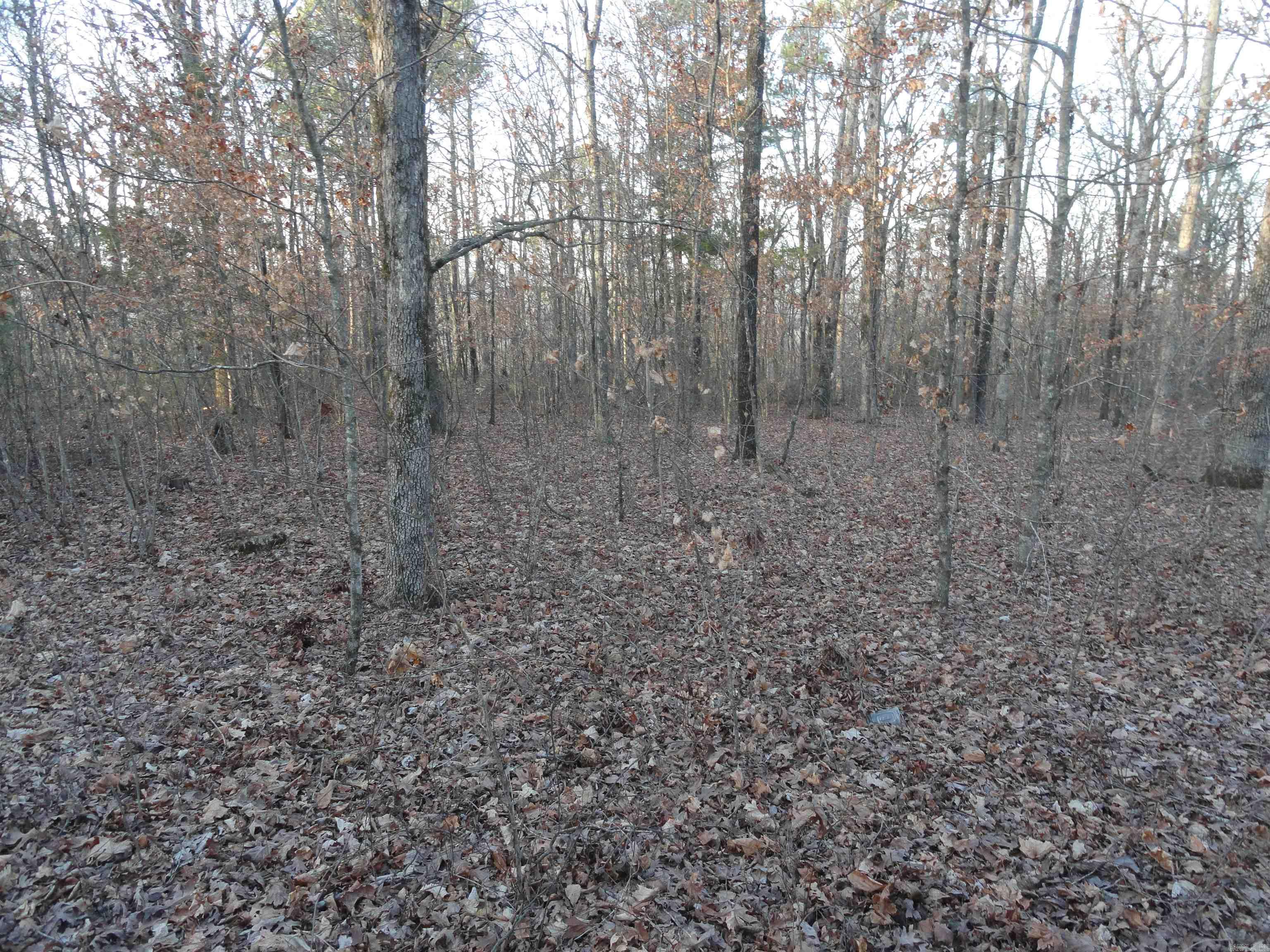 2760 Hwy 16 West Clinton, AR 72031