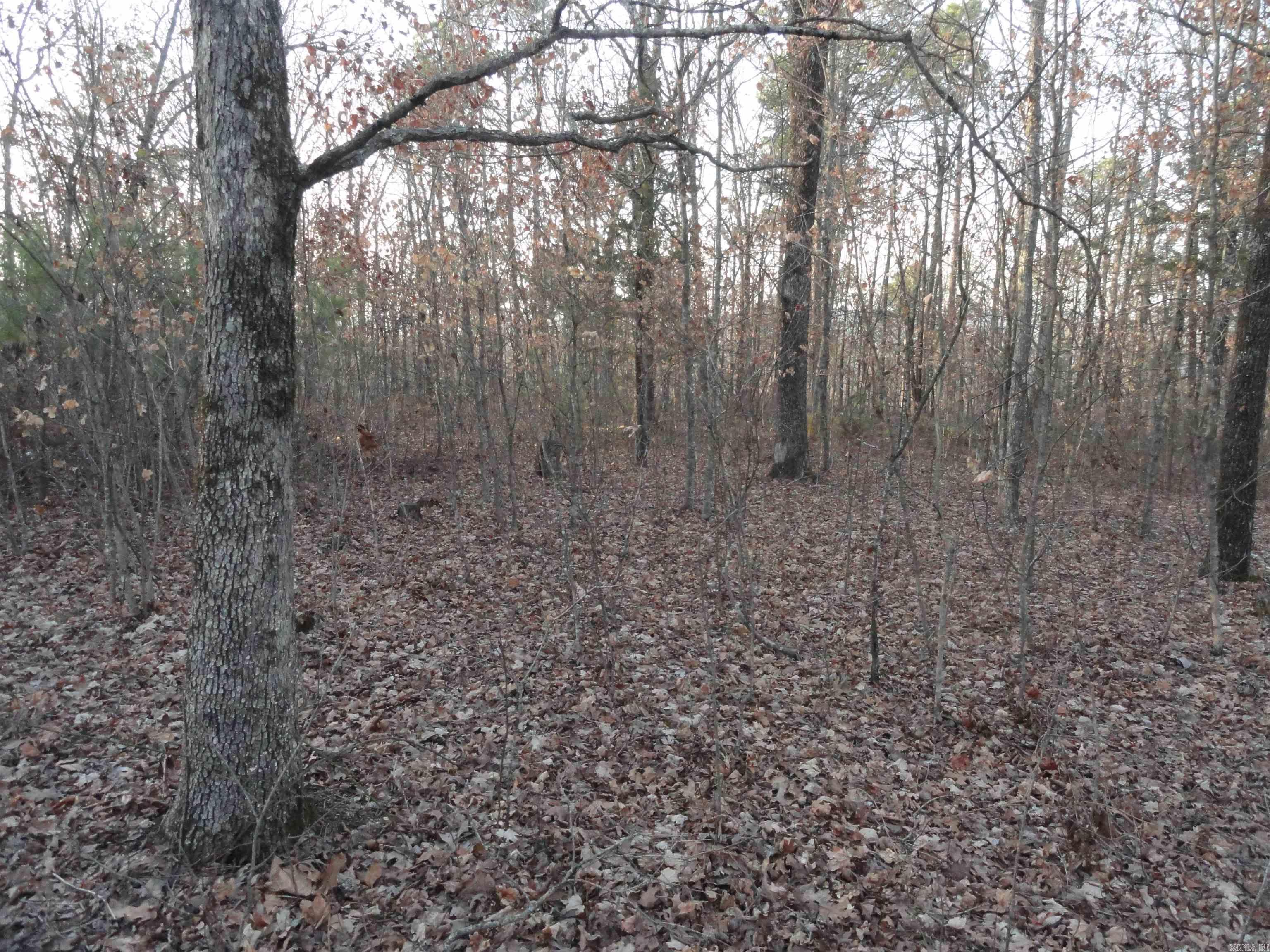 2760 Hwy 16 West Clinton, AR 72031