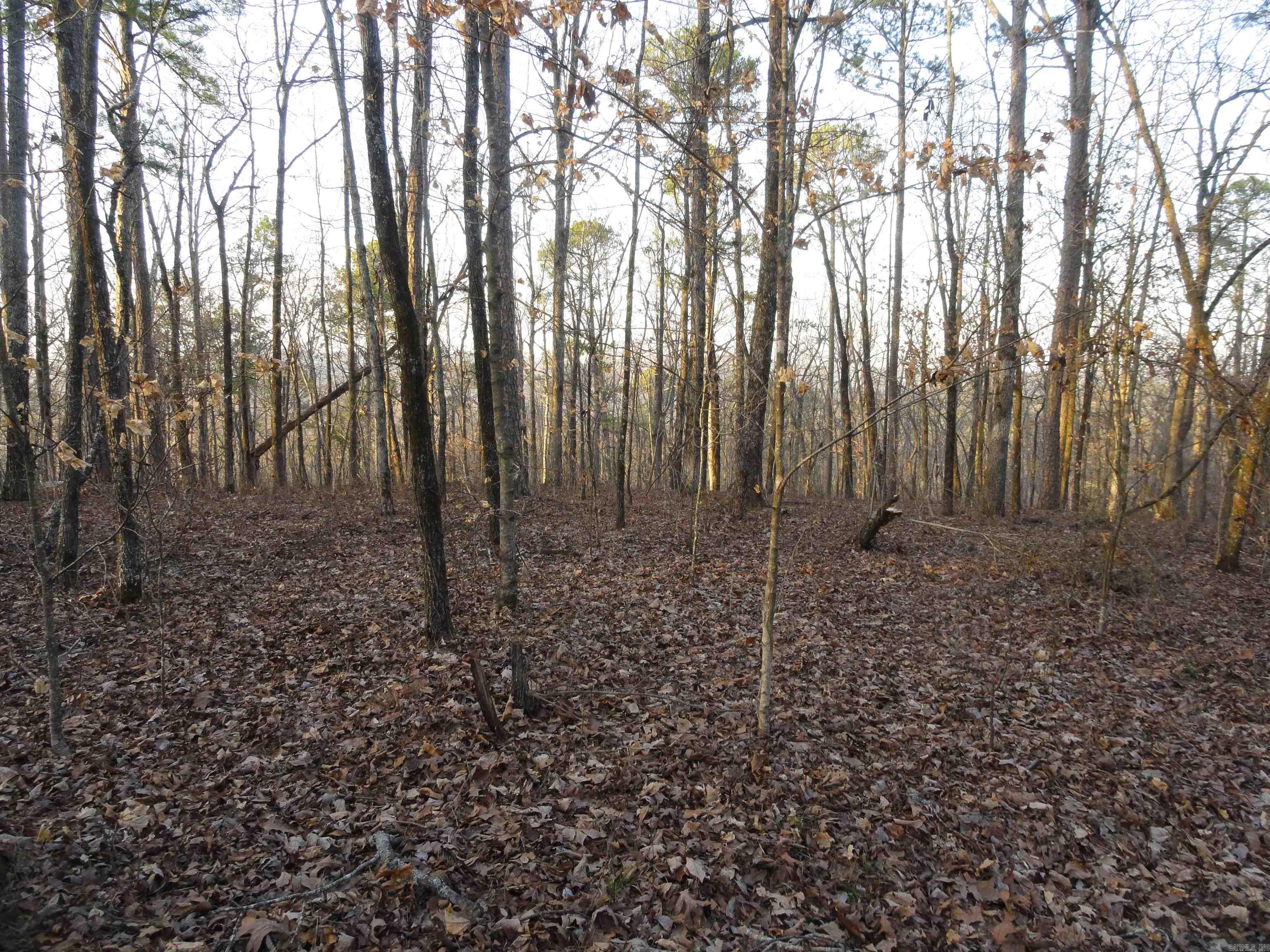 2760 Hwy 16 West Clinton, AR 72031