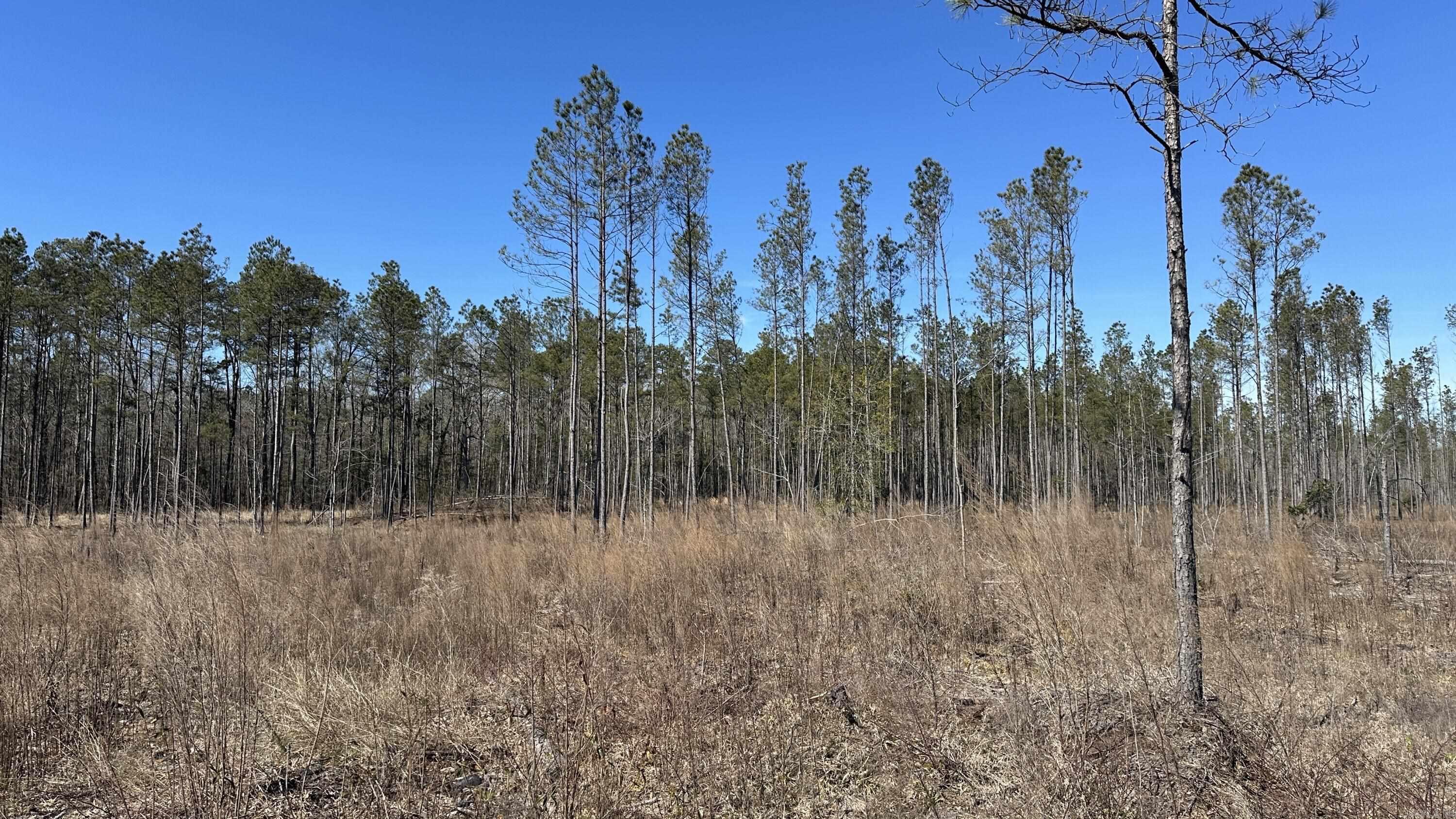 9489  Princeton Pike  White Hall, AR