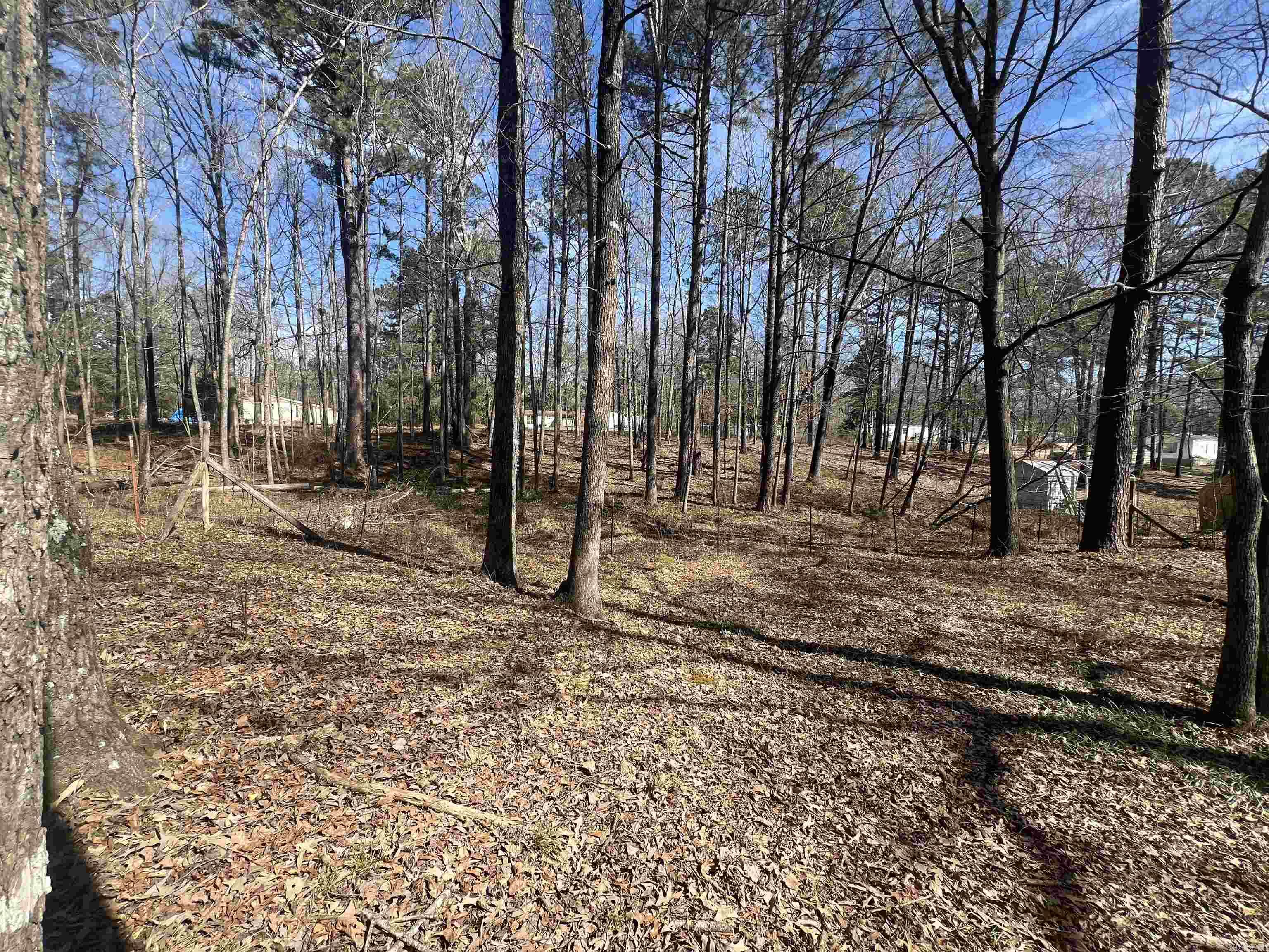 9406  Venus dr  Mabelvale, AR