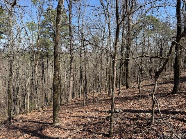 0  Fox Ridge  Little Rock, AR