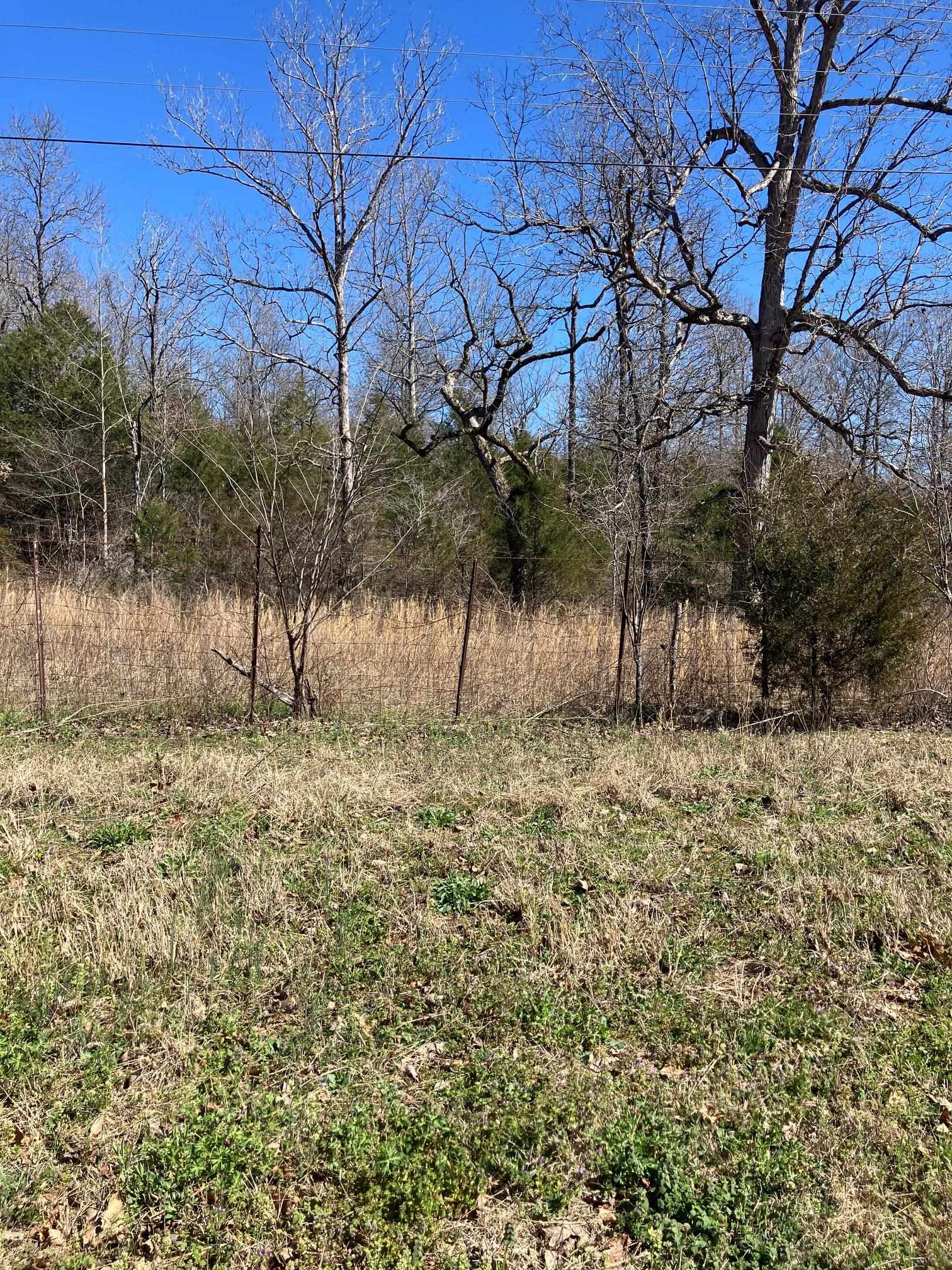 TBD  Hwy 63 E  Williford, AR
