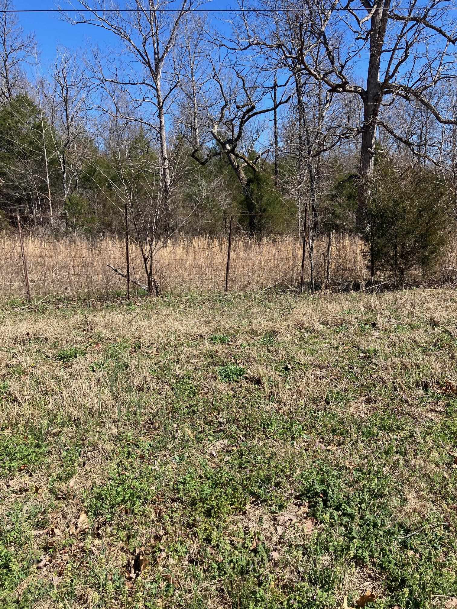 TBD  Hwy 63 E  Williford, AR