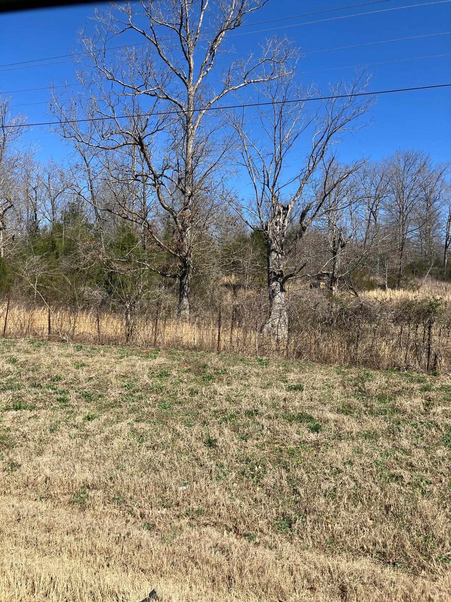 TBD  Hwy 63 E  Williford, AR