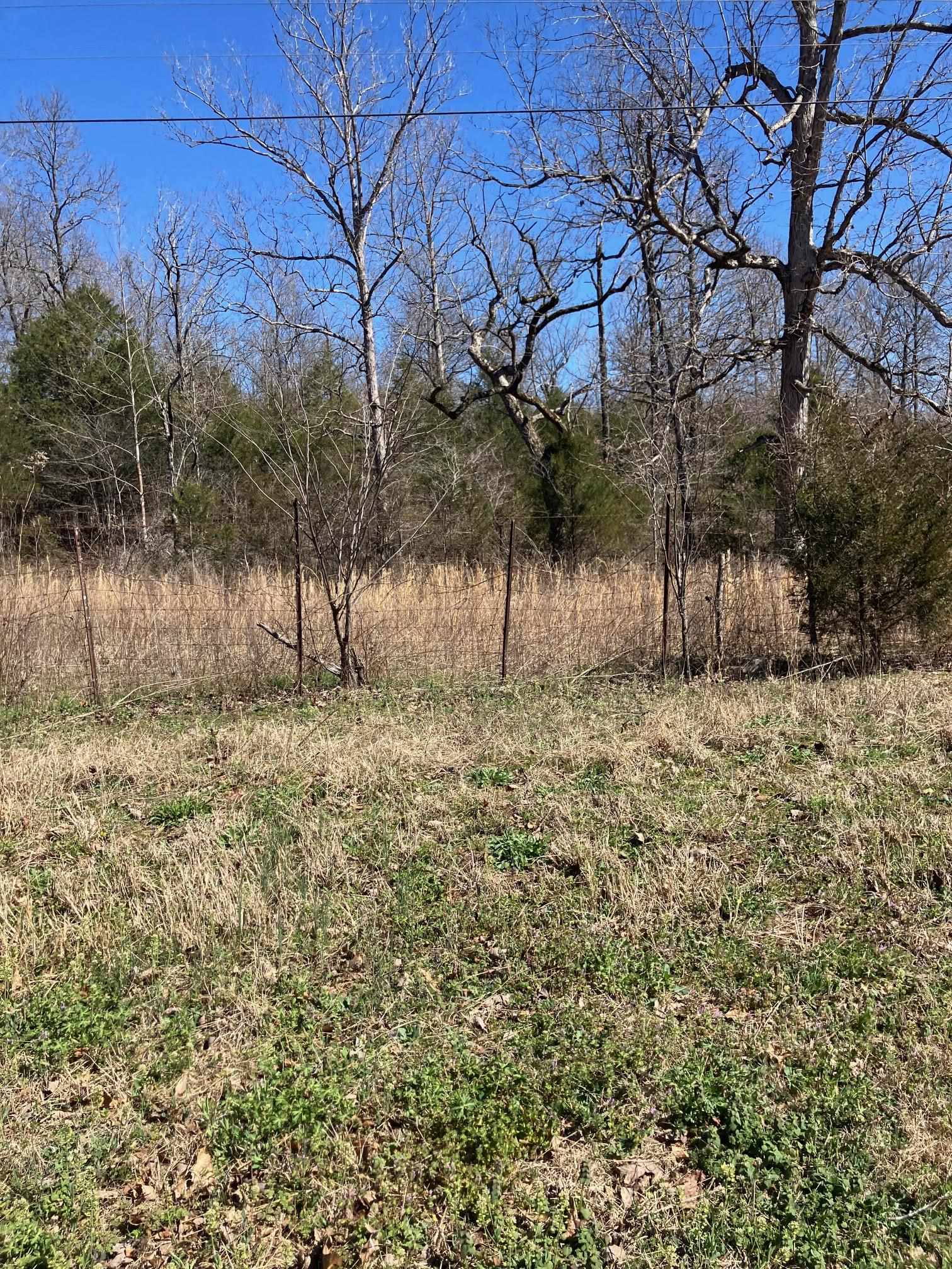 TBD  Hwy 63 E  Williford, AR