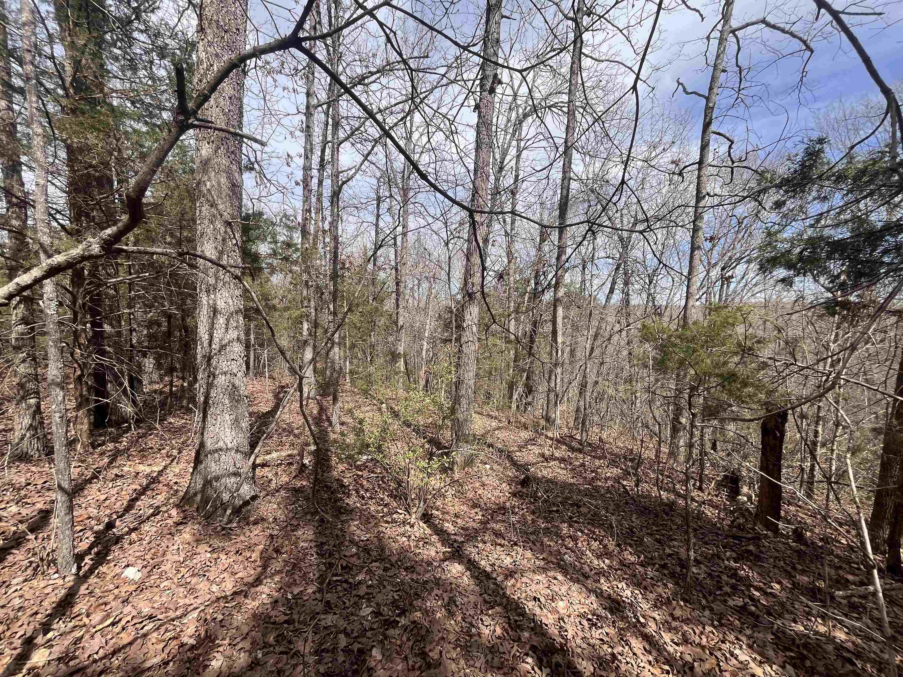 000  Boanna  Cherokee Village, MO
