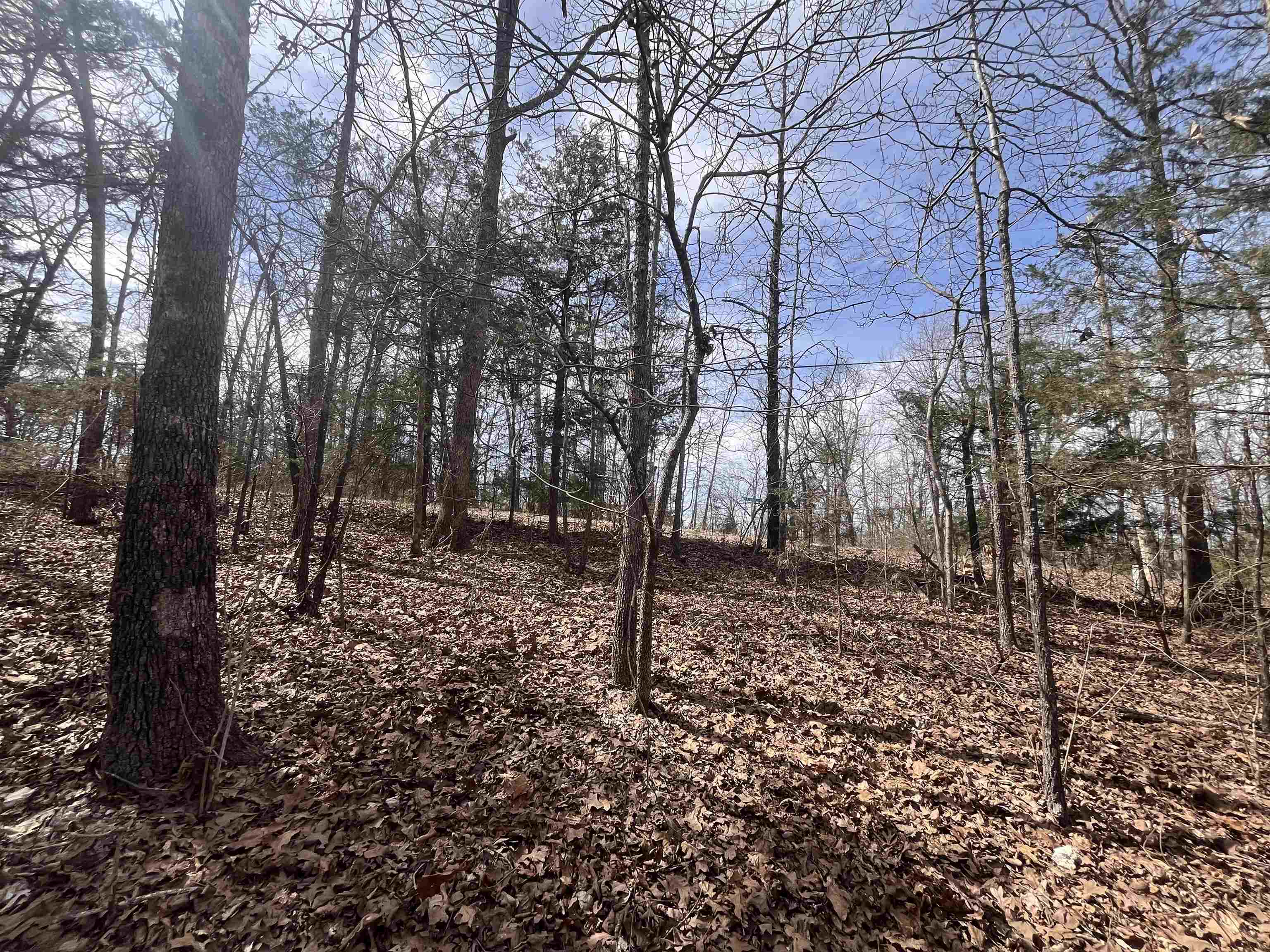 000  Boanna  Cherokee Village, MO