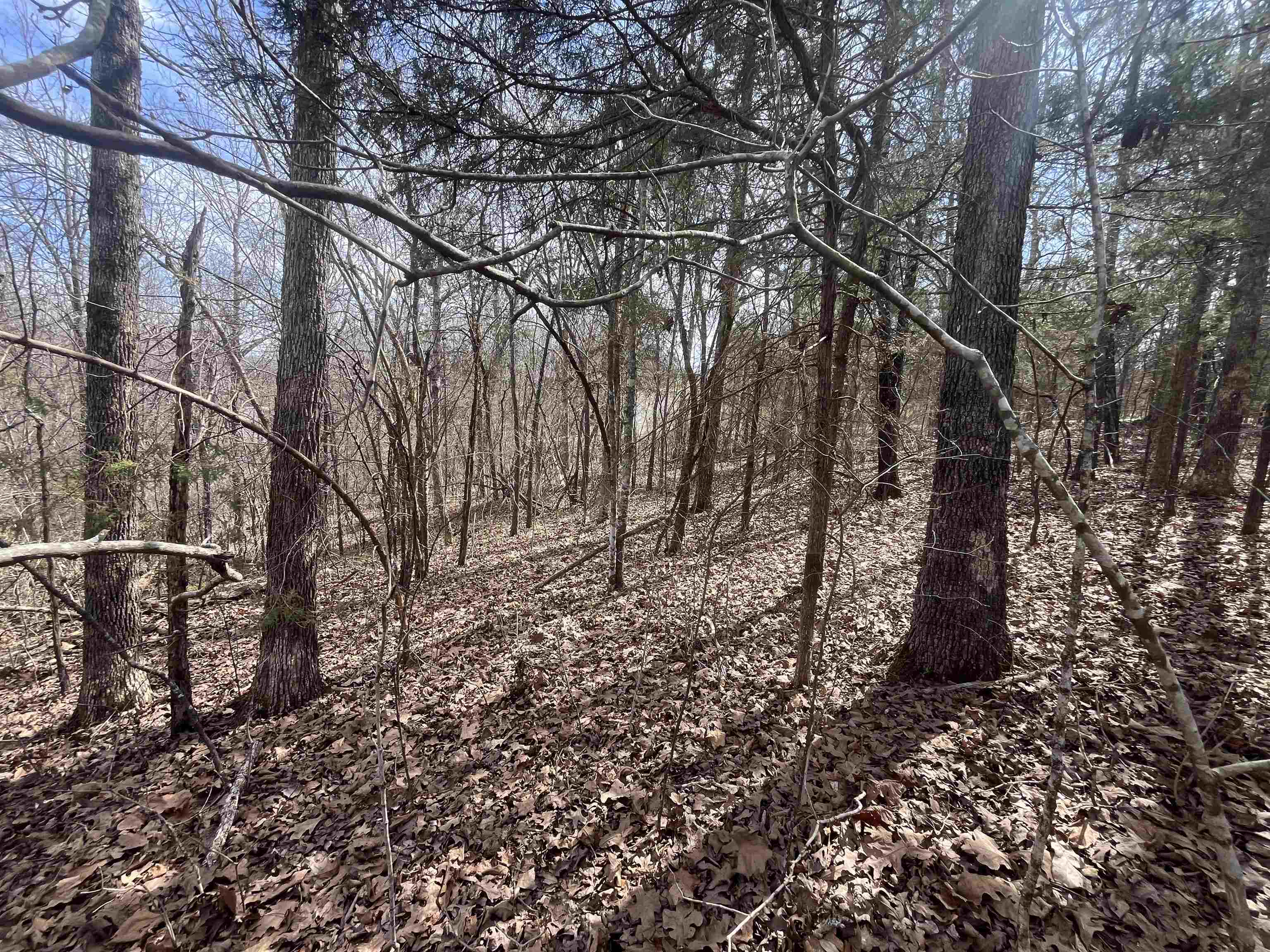 000  Boanna  Cherokee Village, MO