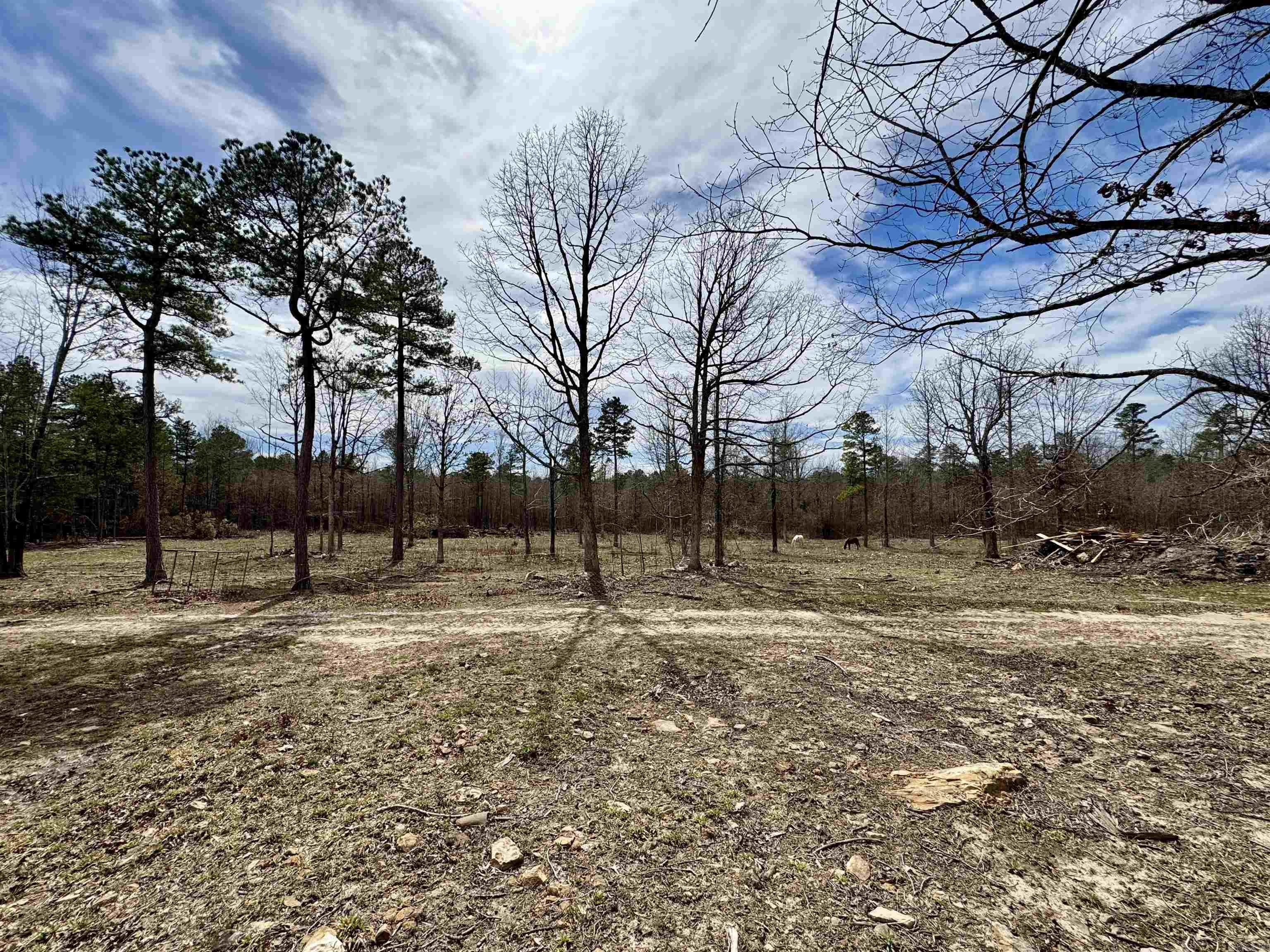 10028  Hwy 66  Alco, AR