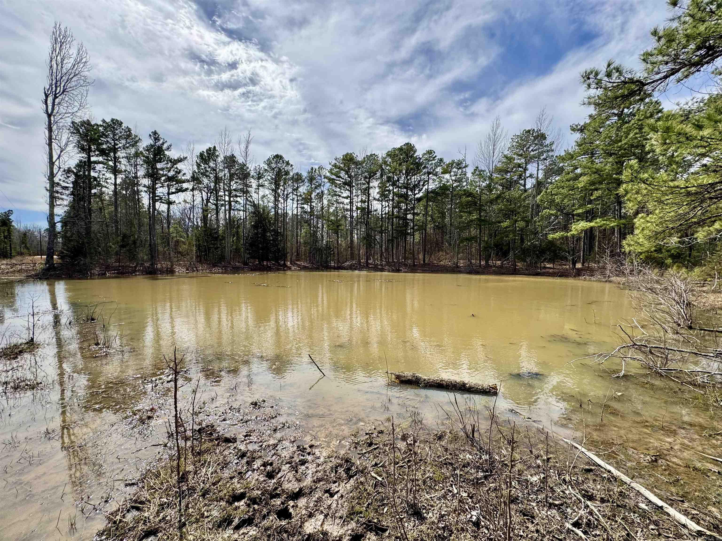 10028  Hwy 66  Alco, AR
