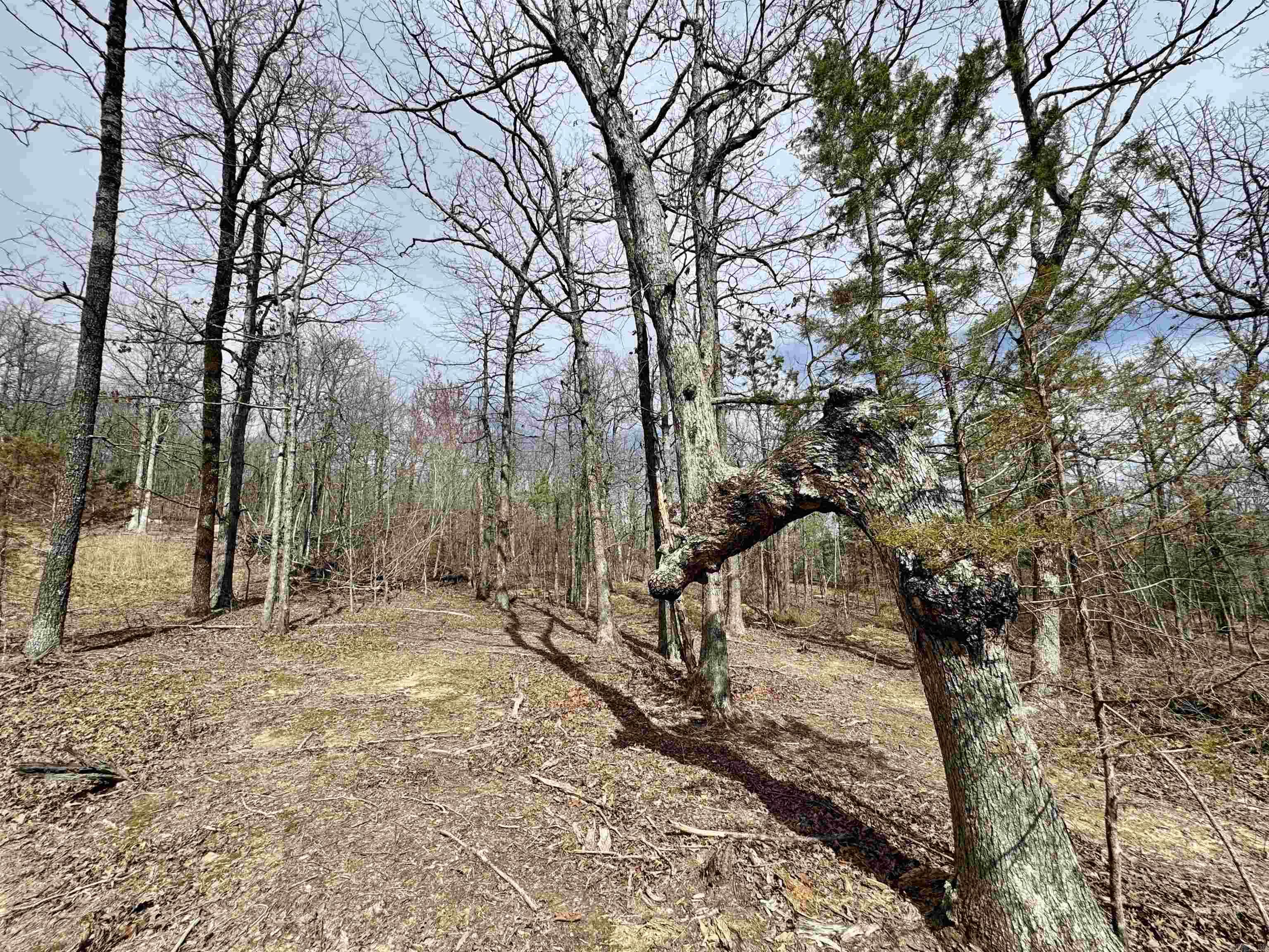 10028  Hwy 66  Alco, AR