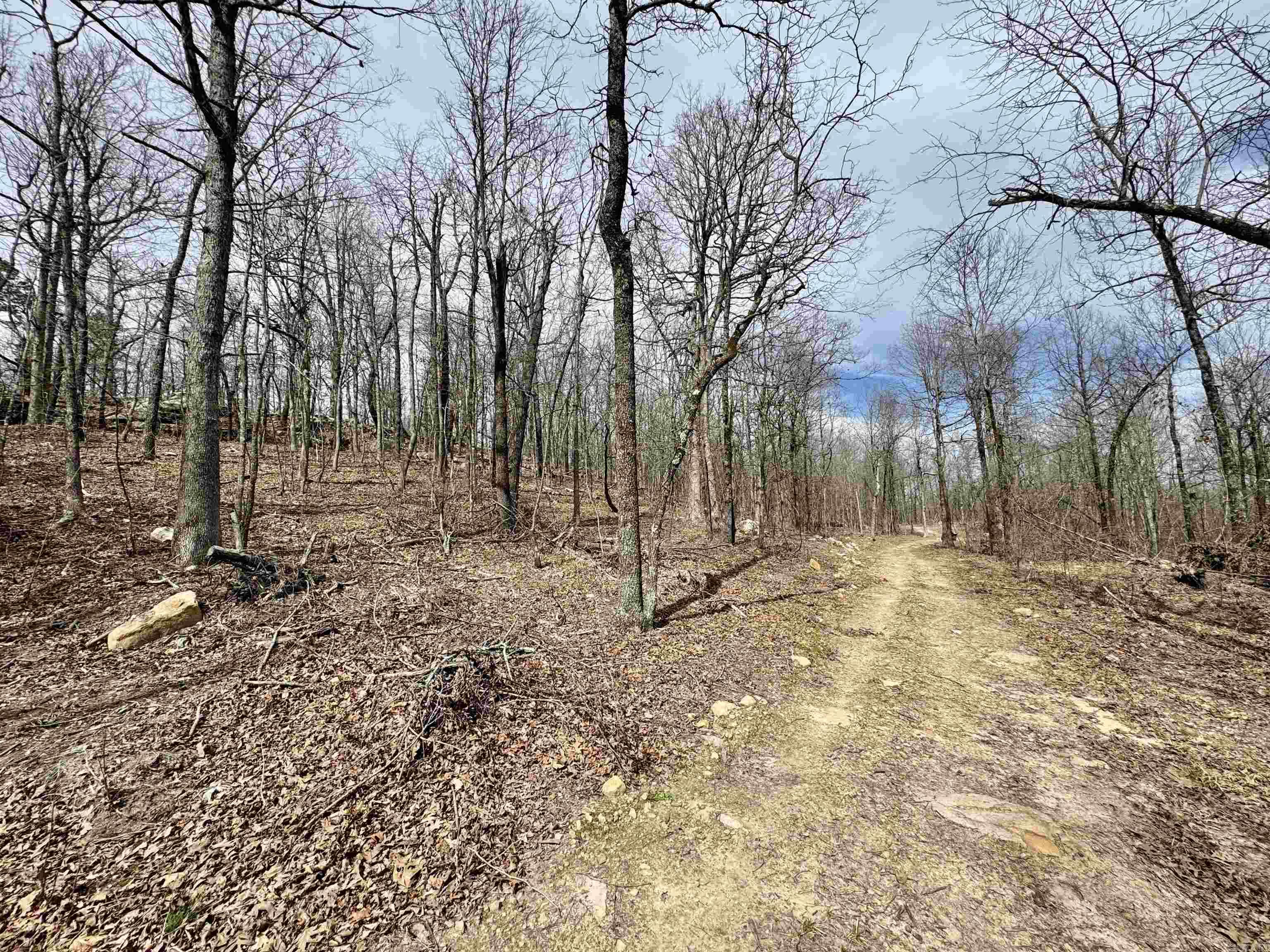 10028  Hwy 66  Alco, AR