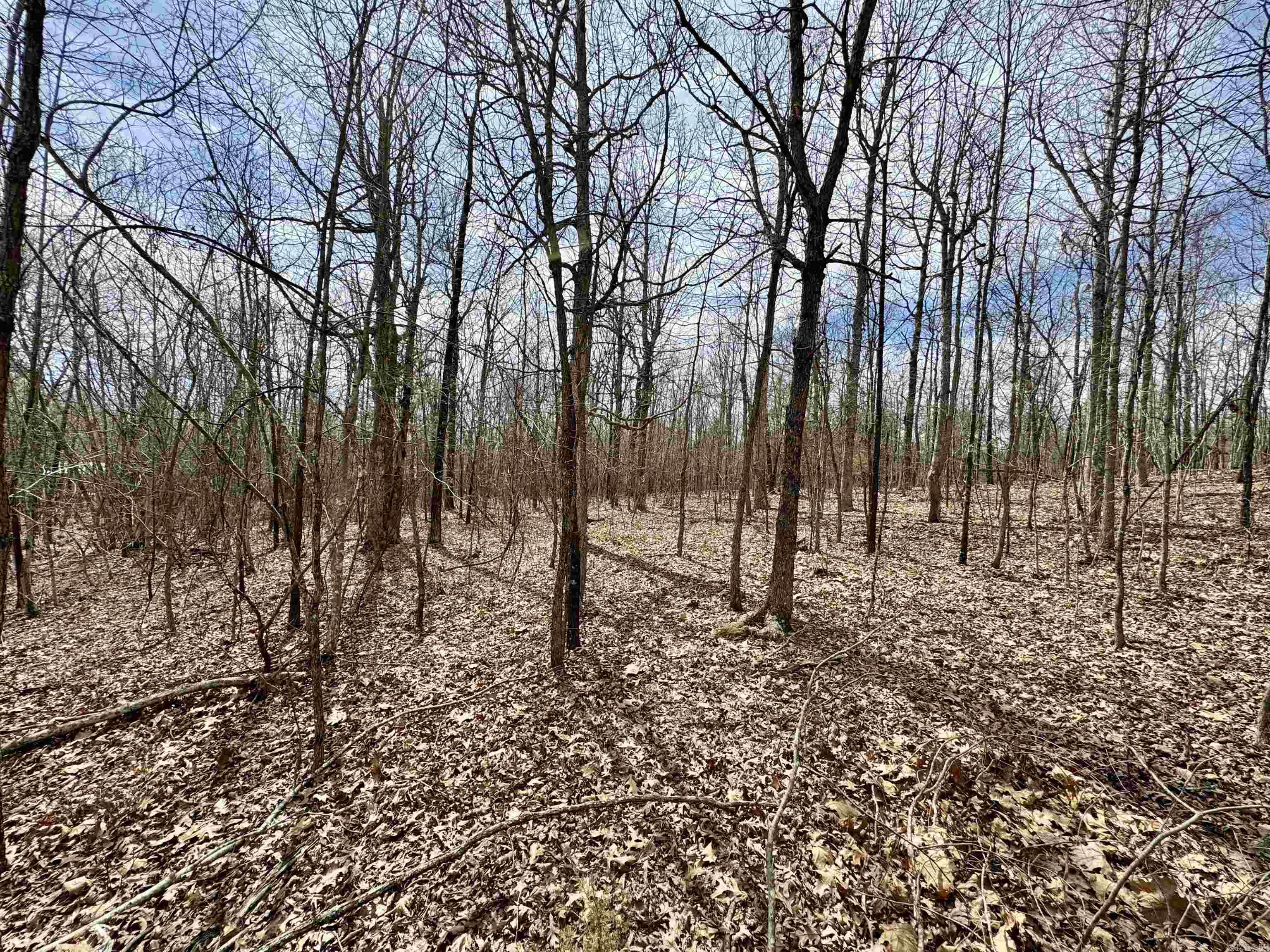 10028  Hwy 66  Alco, AR