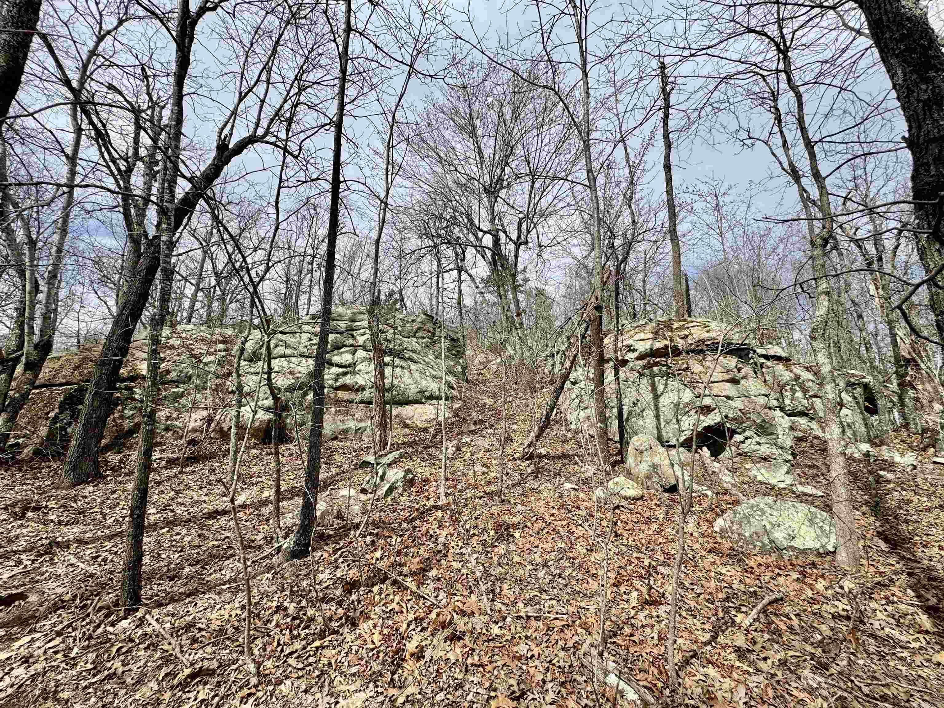 10028  Hwy 66  Alco, AR